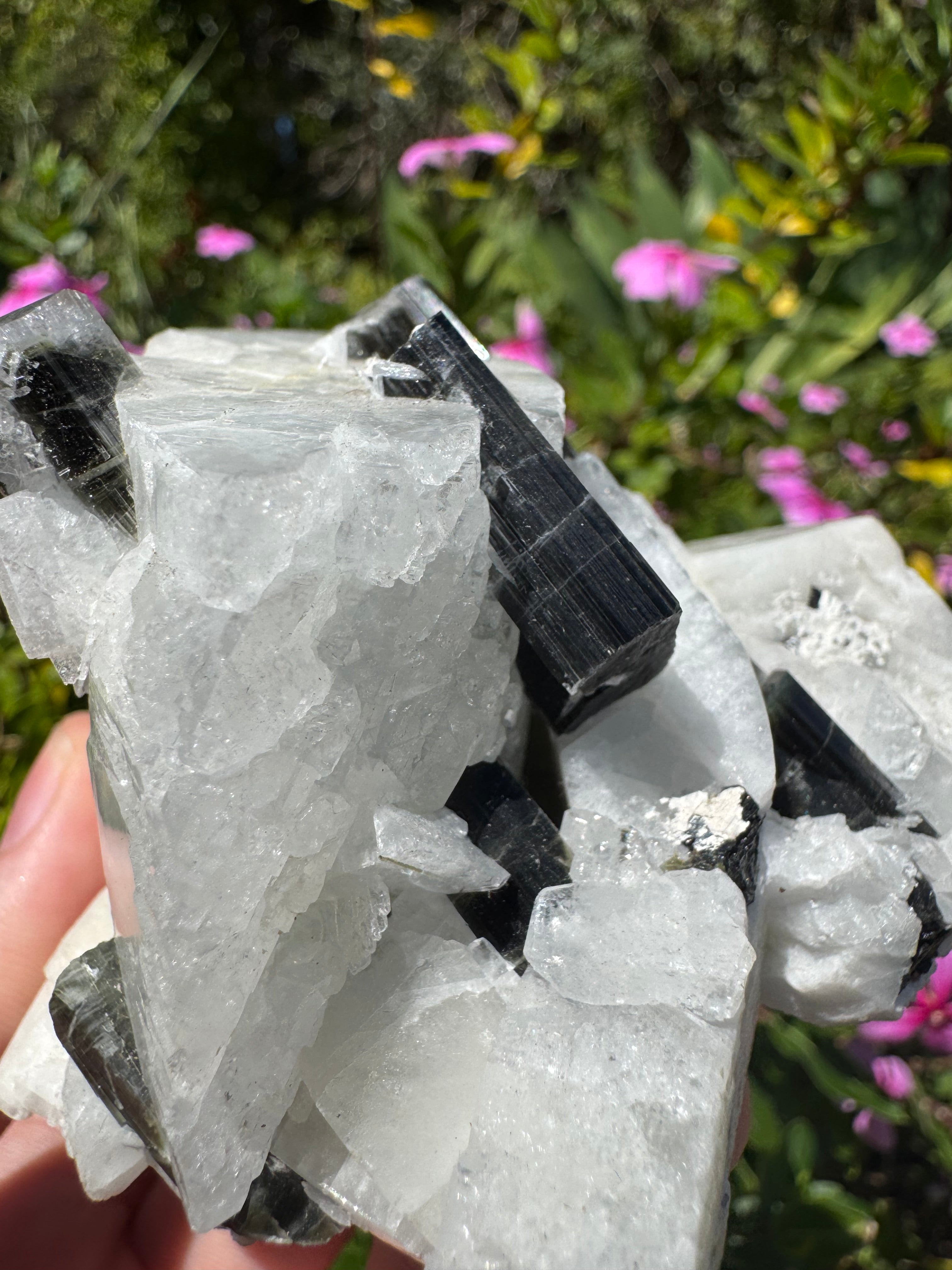 Black Tourmaline in Quartz Specimen