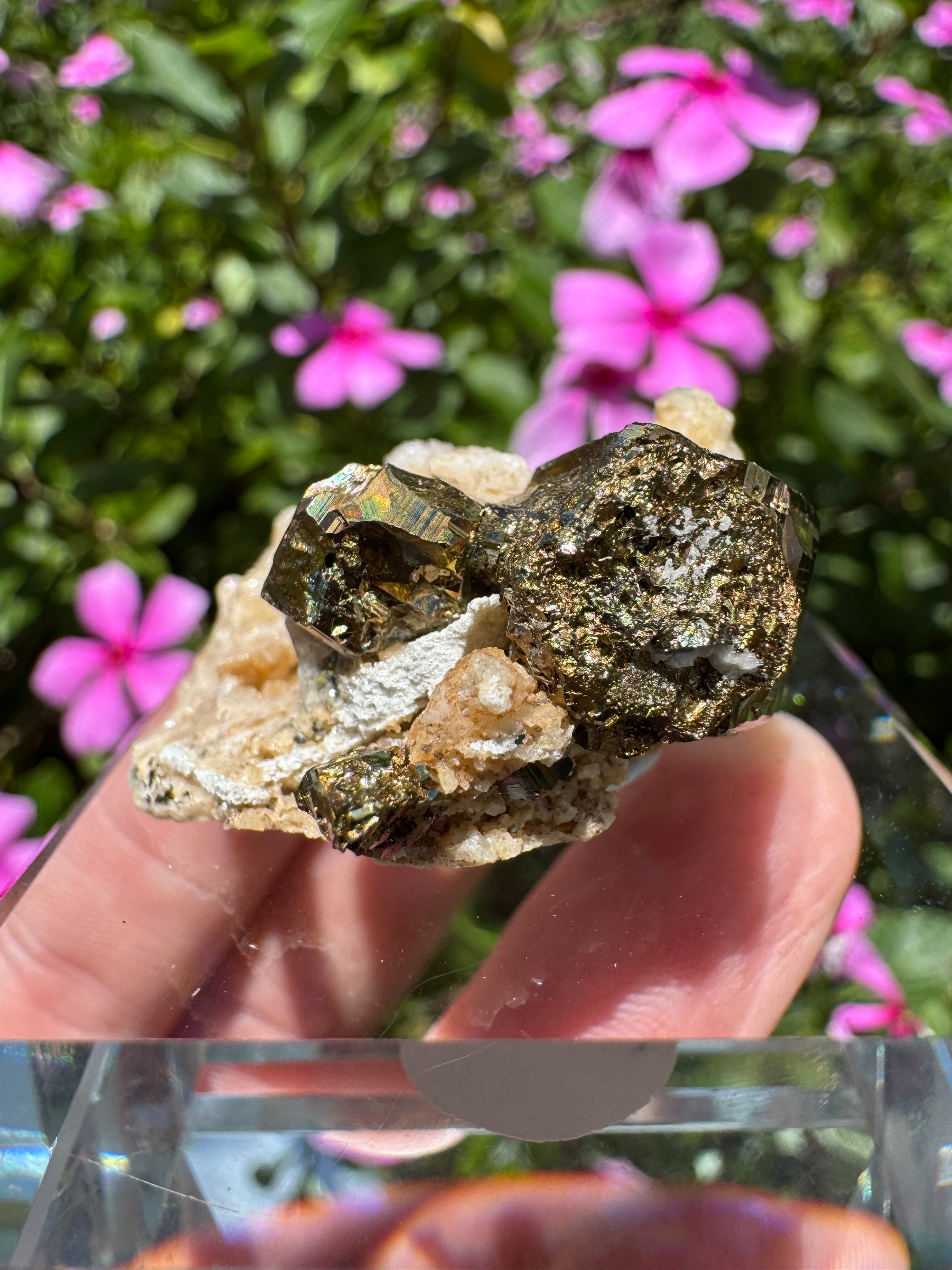 Iridescent Pyrite With Stilbite Cluster - A Grade
