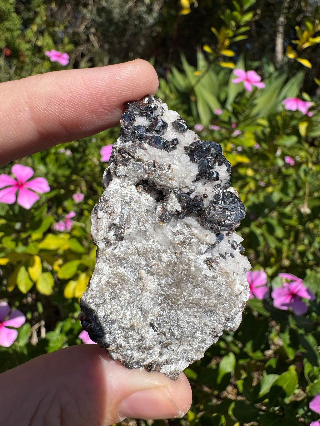 Galena On Quartz Specimen