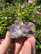 Vera Cruz Amethyst Specimen
