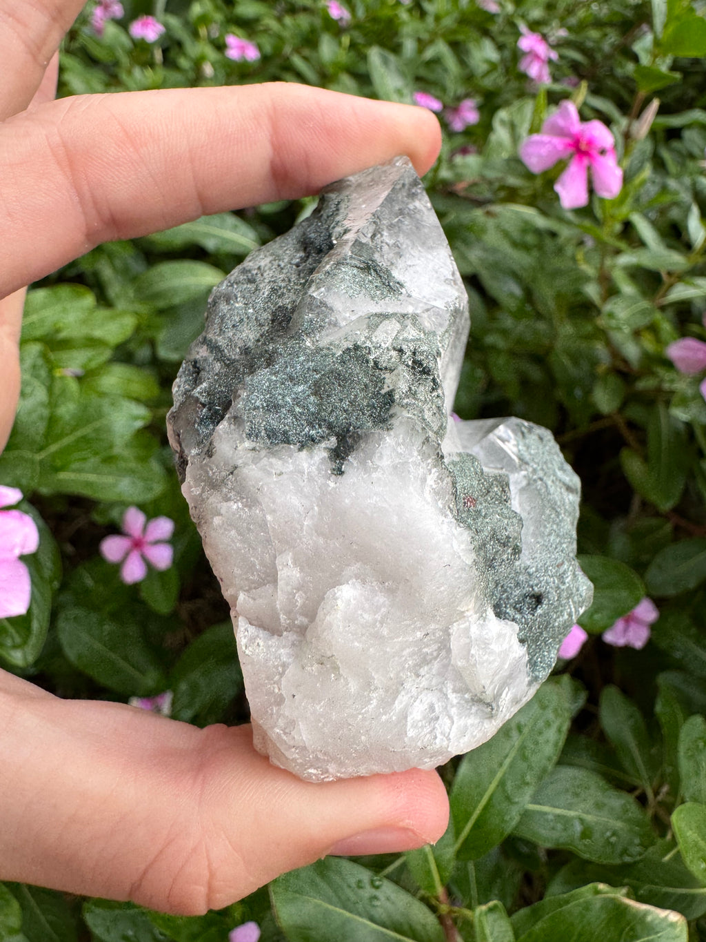 Silver Garden Quartz with Actinolite Inclusions Point