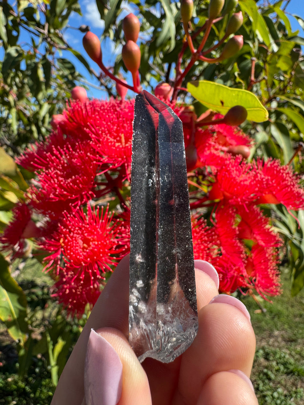 Hematite Coated Quartz Point