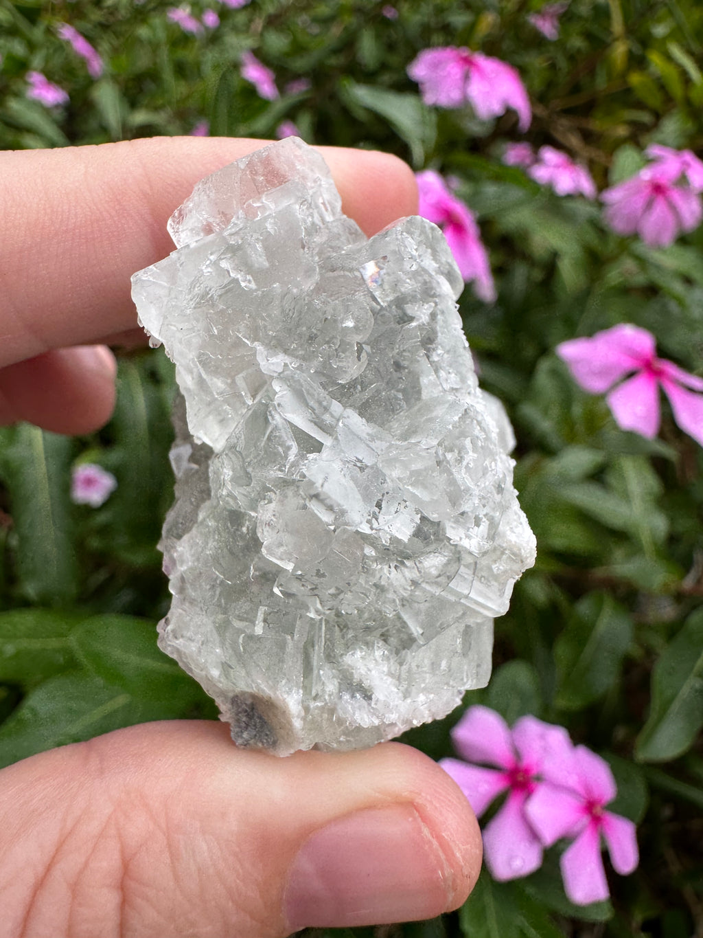 Sugar-Coated Cubic Fluorite Cluster