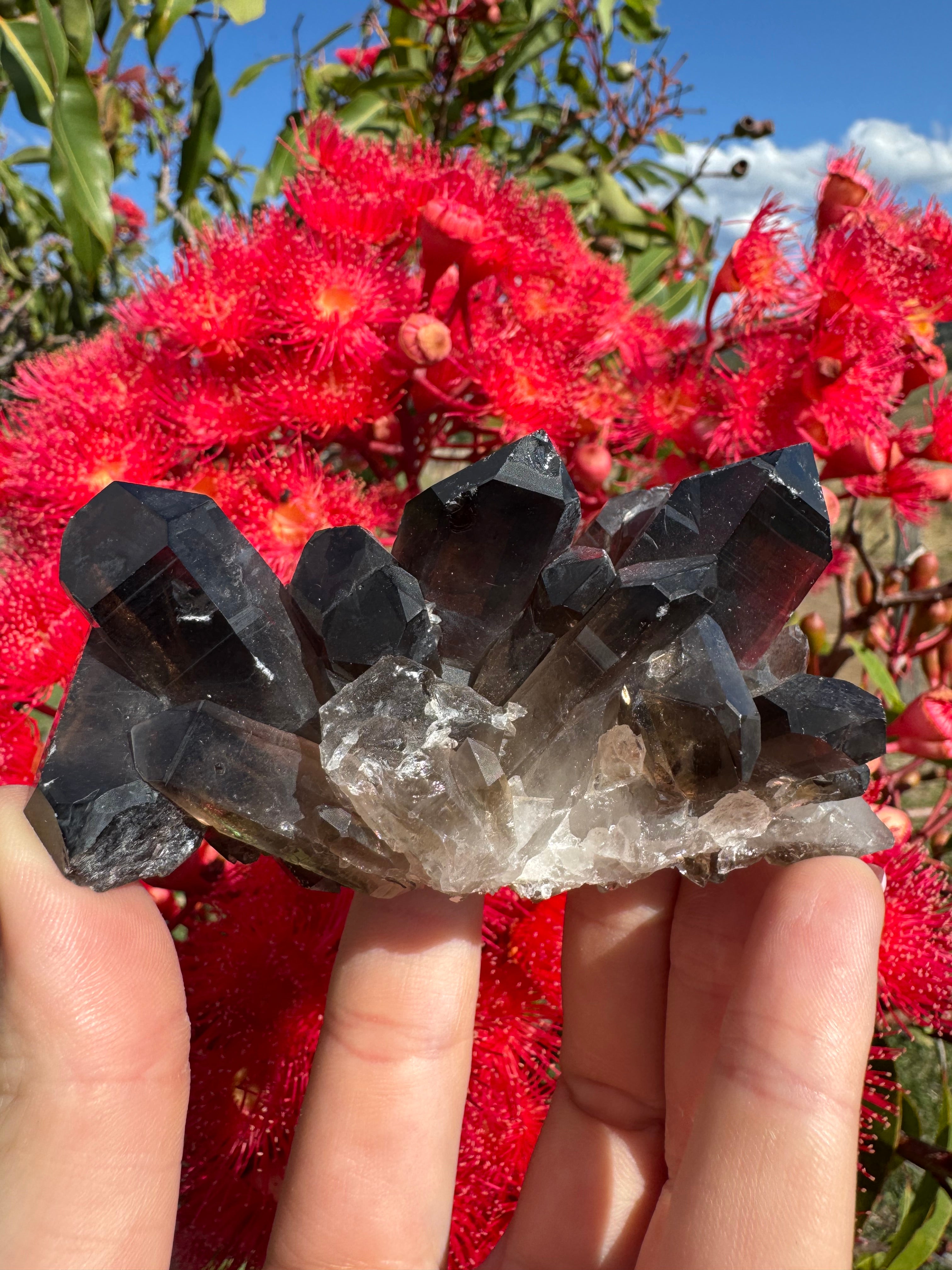 Deep Black Smoky Quartz Cluster