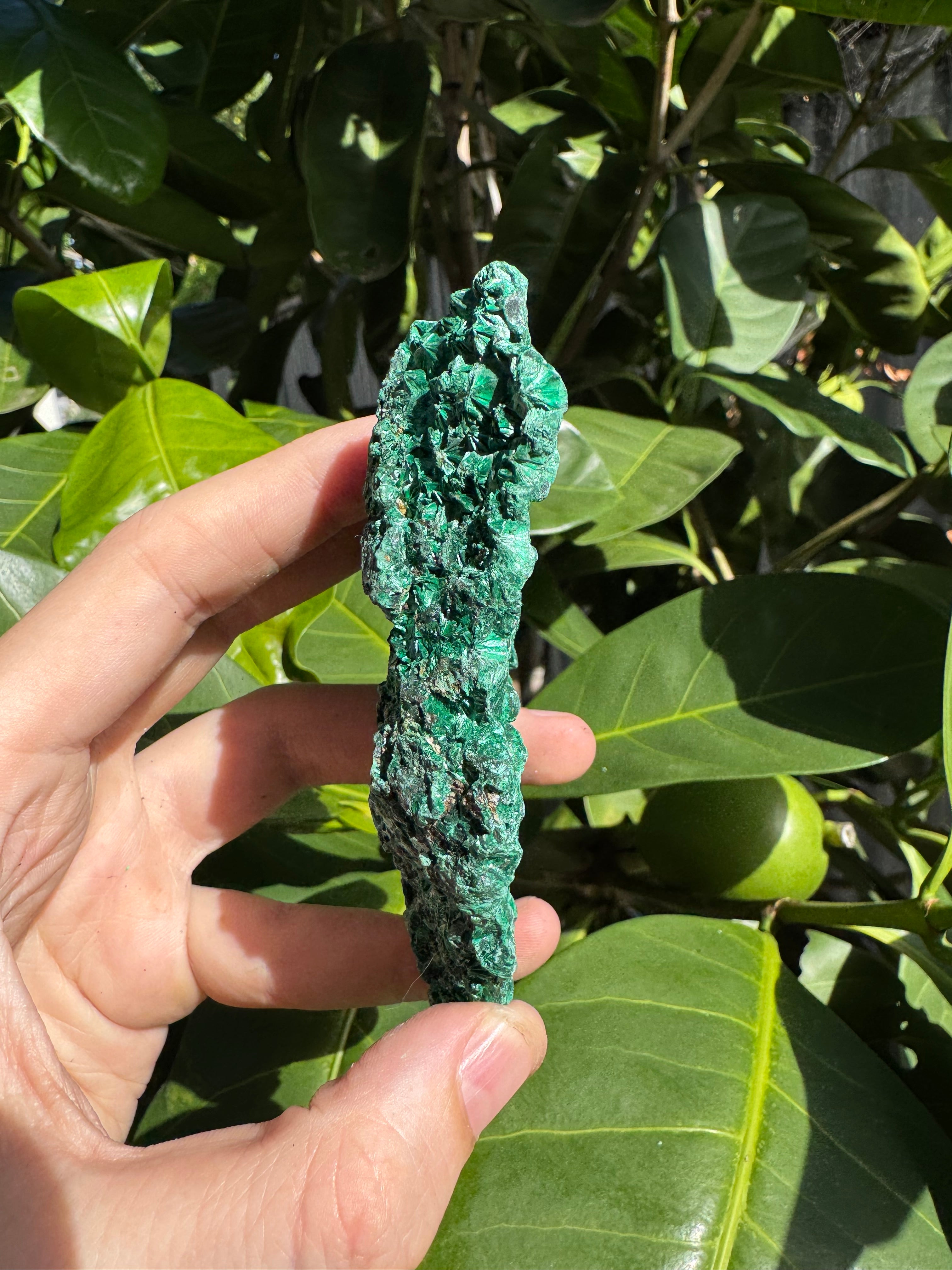 Malachite ‘Fibrous’ Specimen