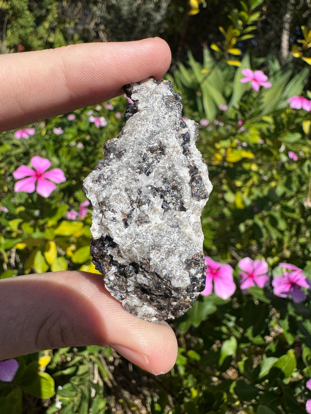 Galena On Quartz Specimen