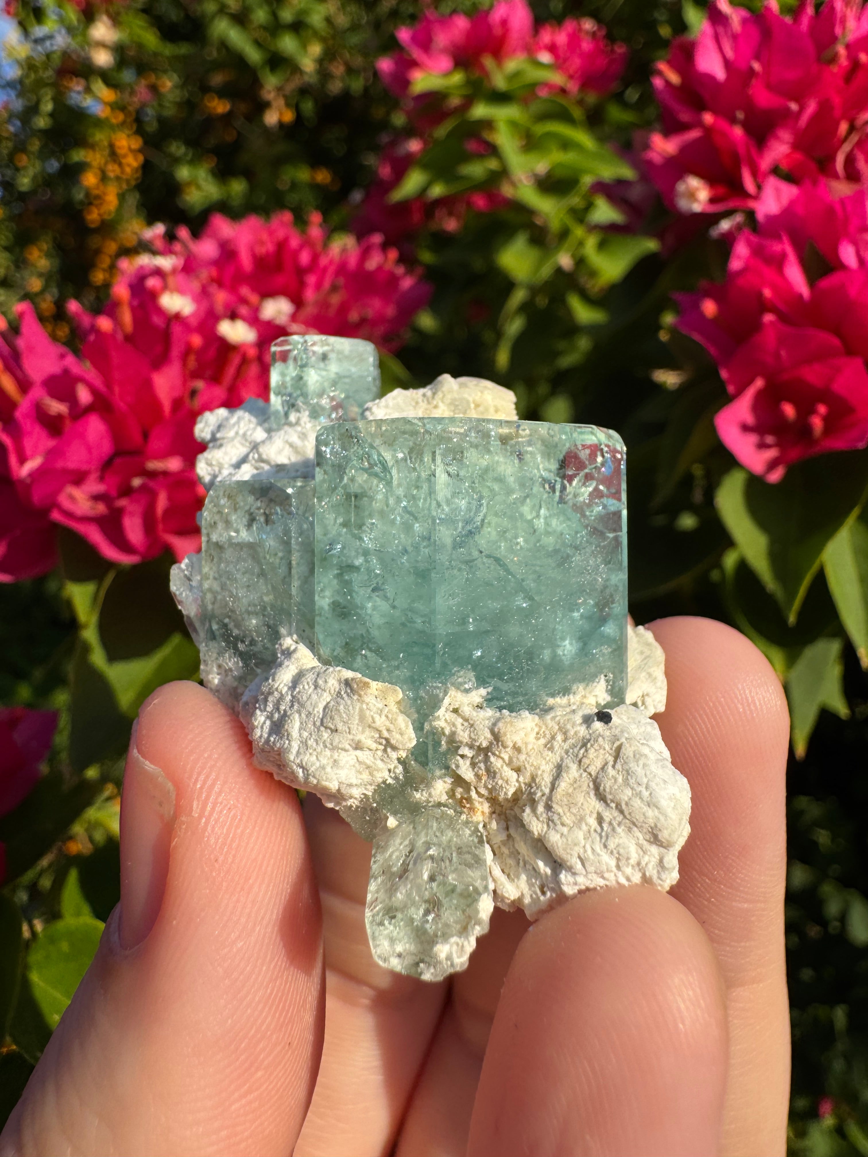 Eronga Aquamarine Specimen - High Quality