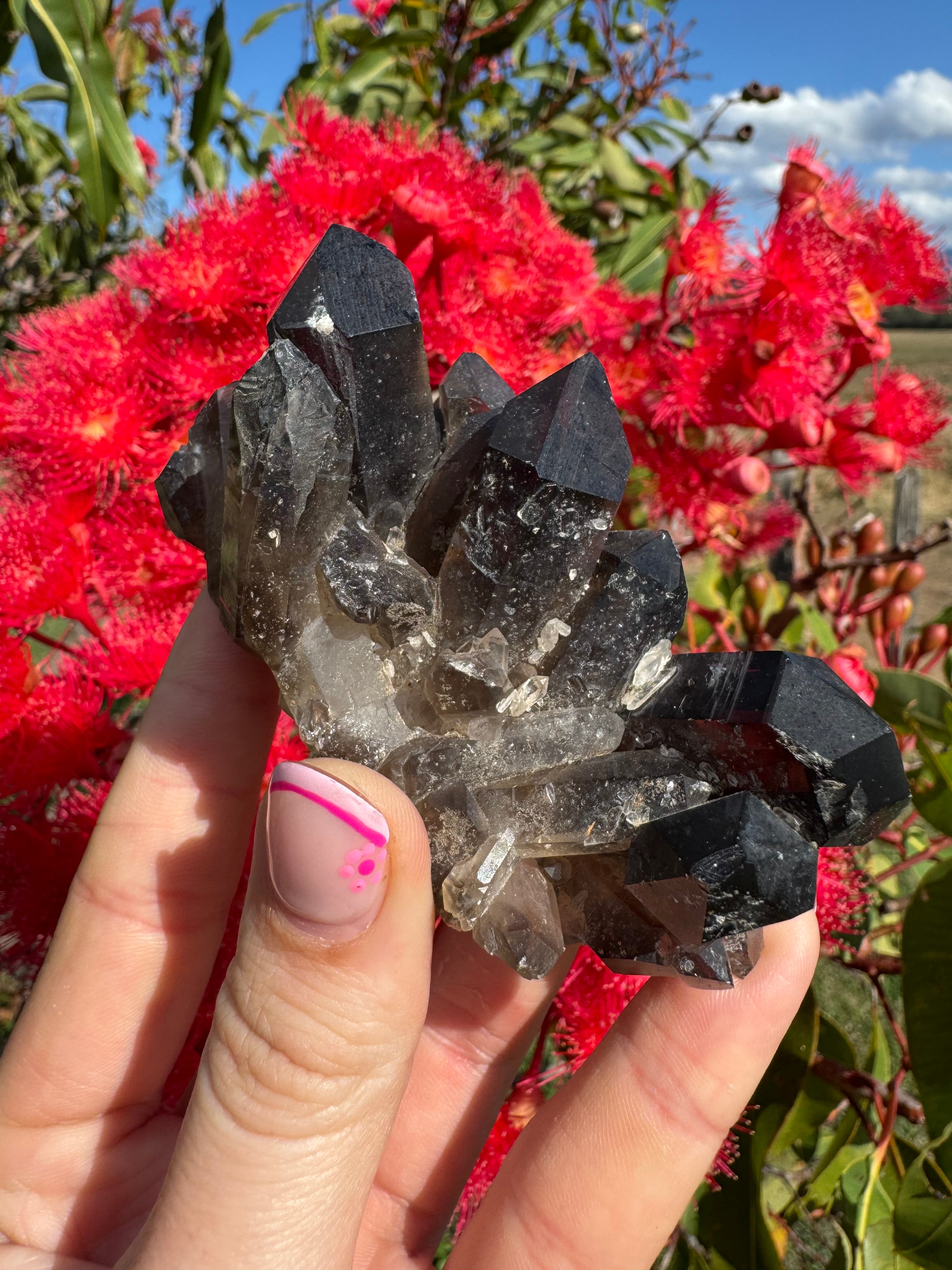 Deep Black Smoky Quartz Cluster