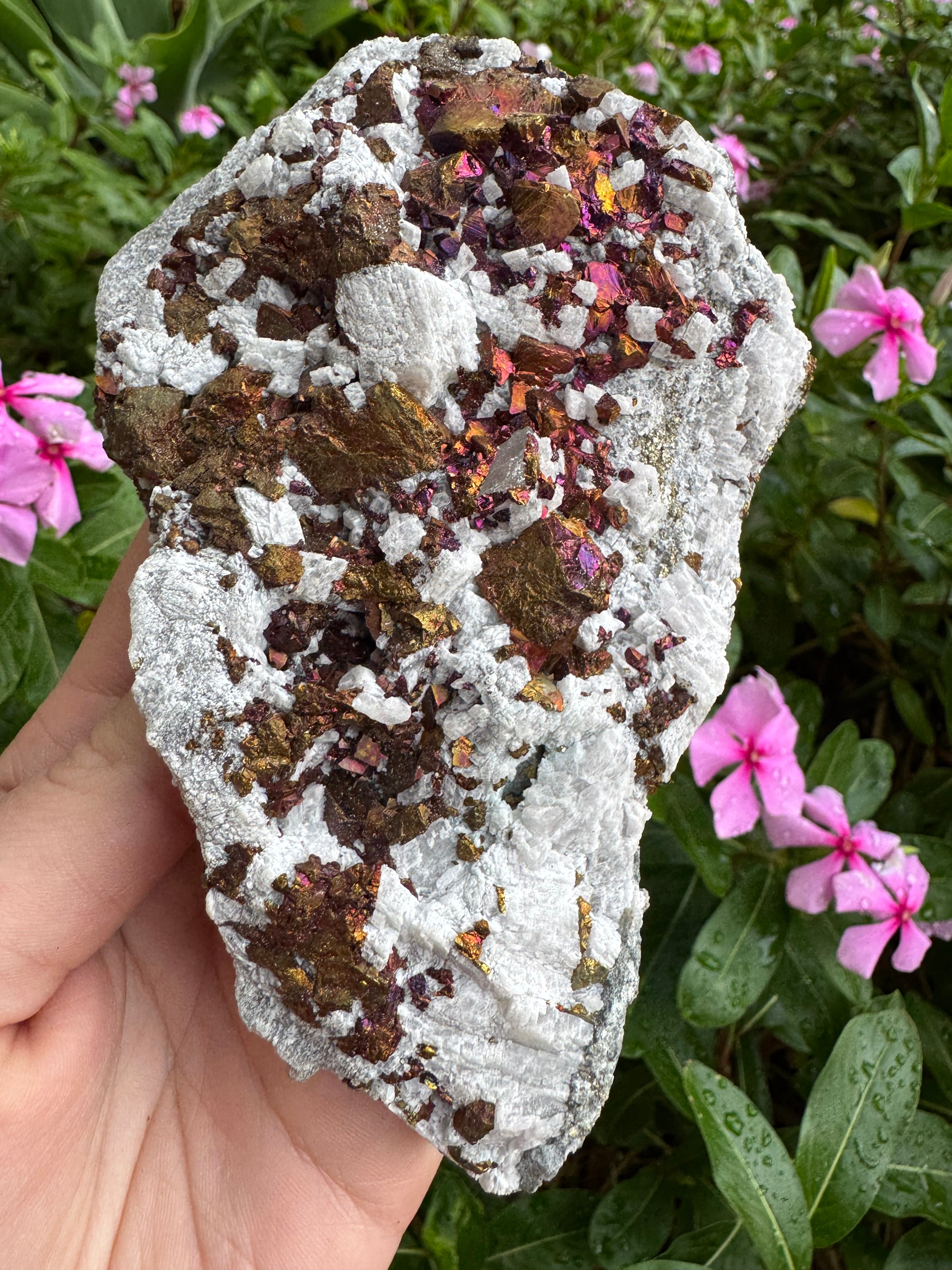 Chalcopyrite + UV Mangano Calcite Specimen