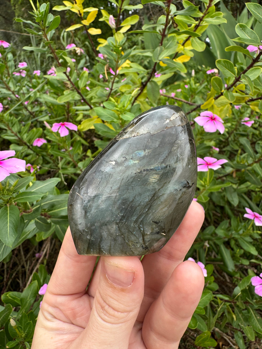 Labradorite Standing Freeform