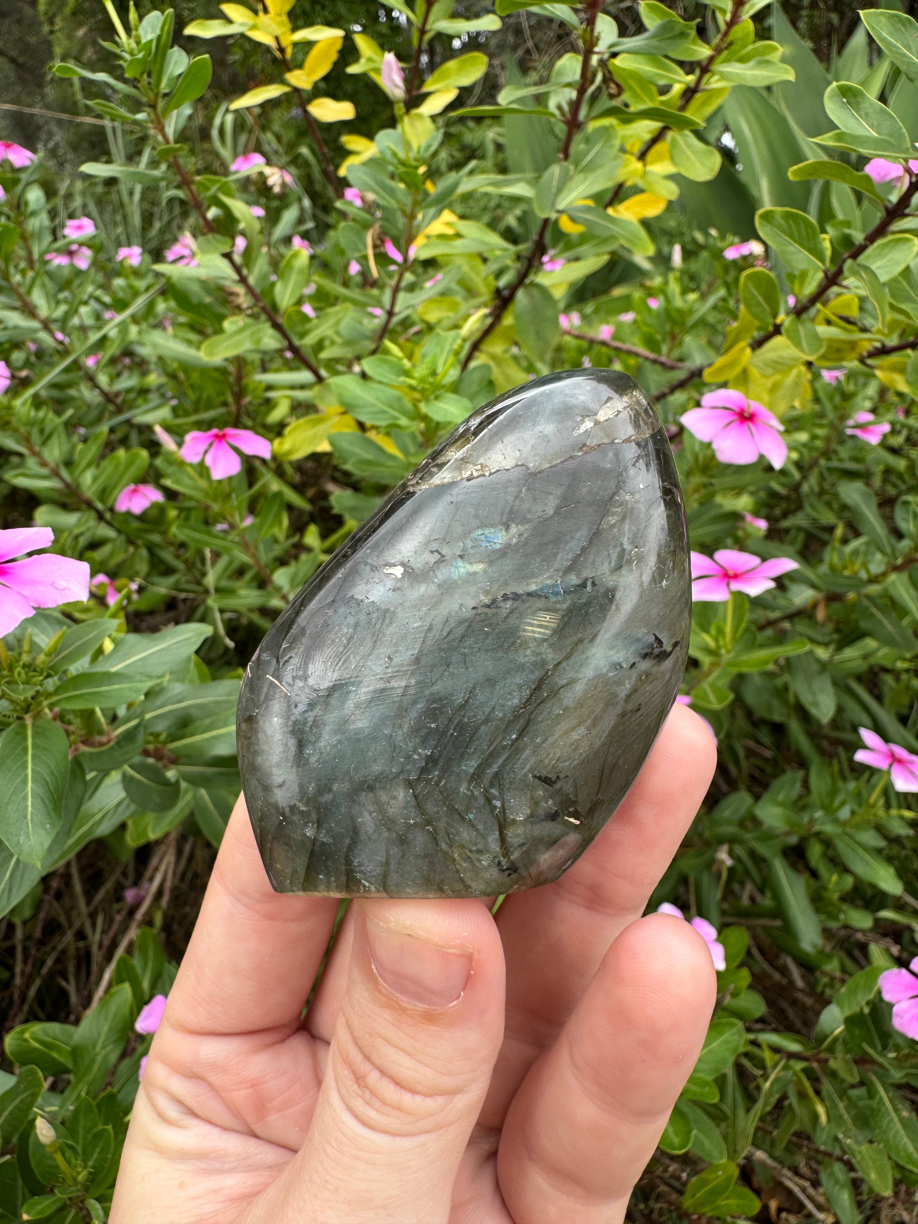 Labradorite Standing Freeform