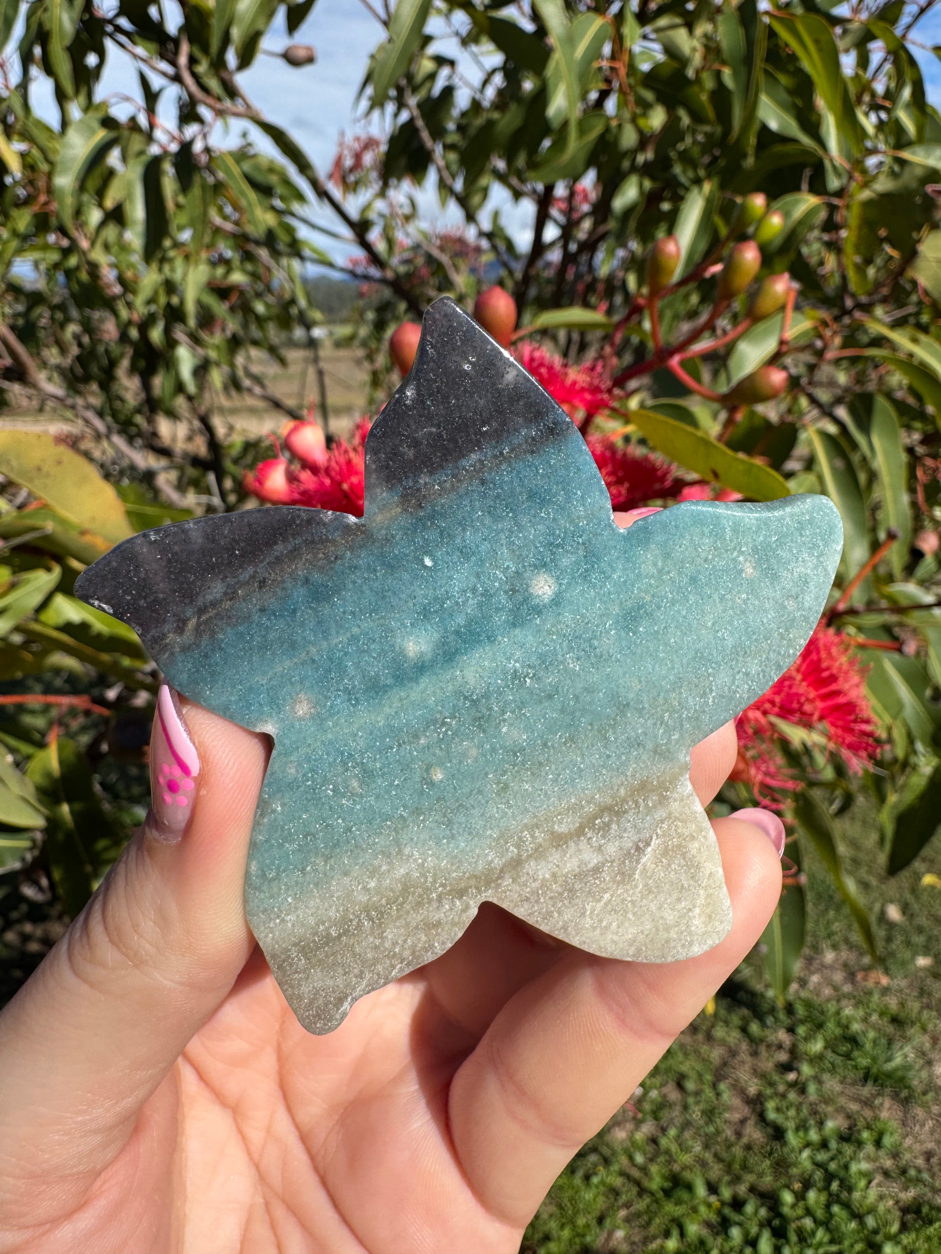 Trollite Starfish Carving
