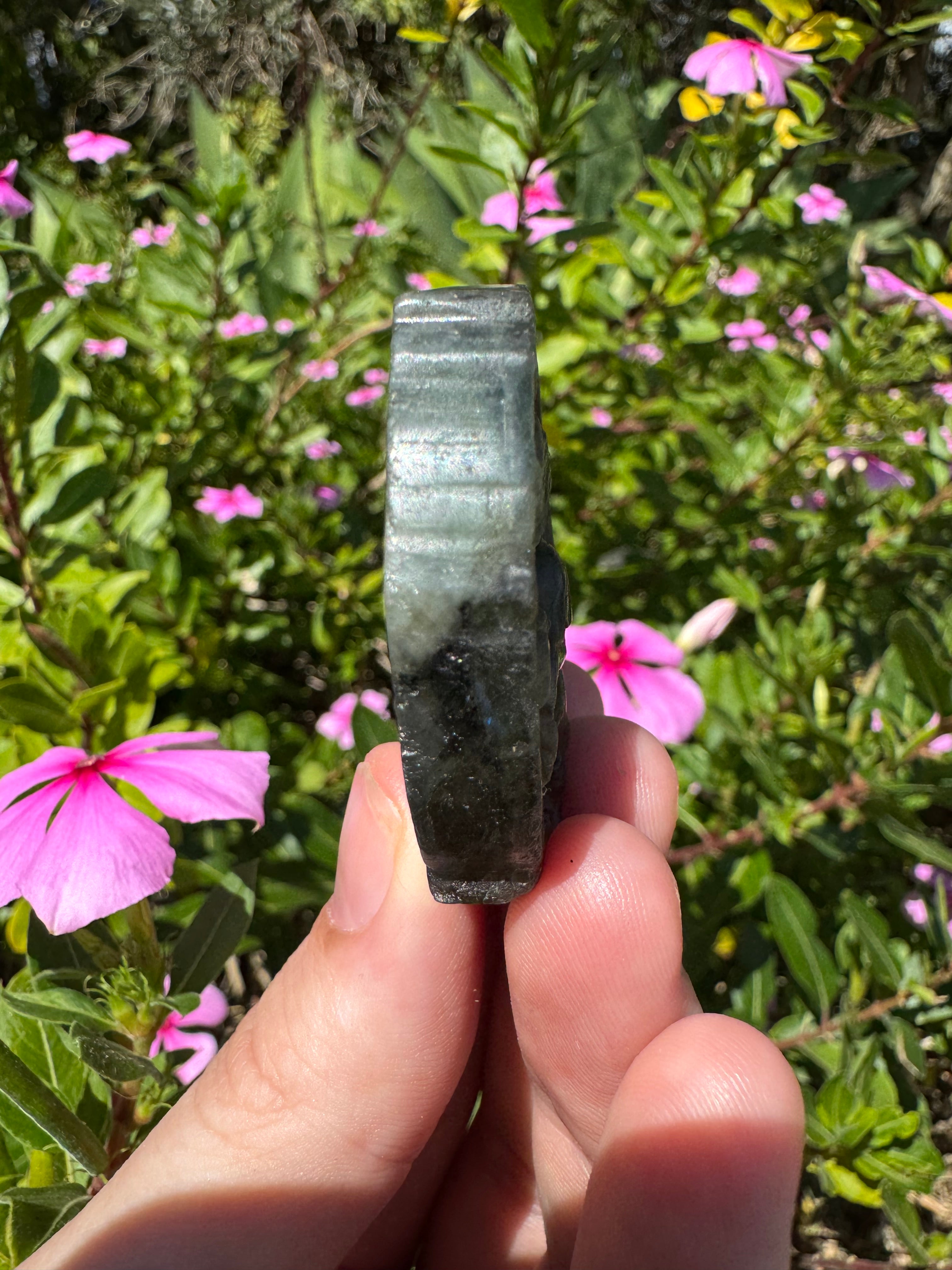 Labradorite Pegasus Carving