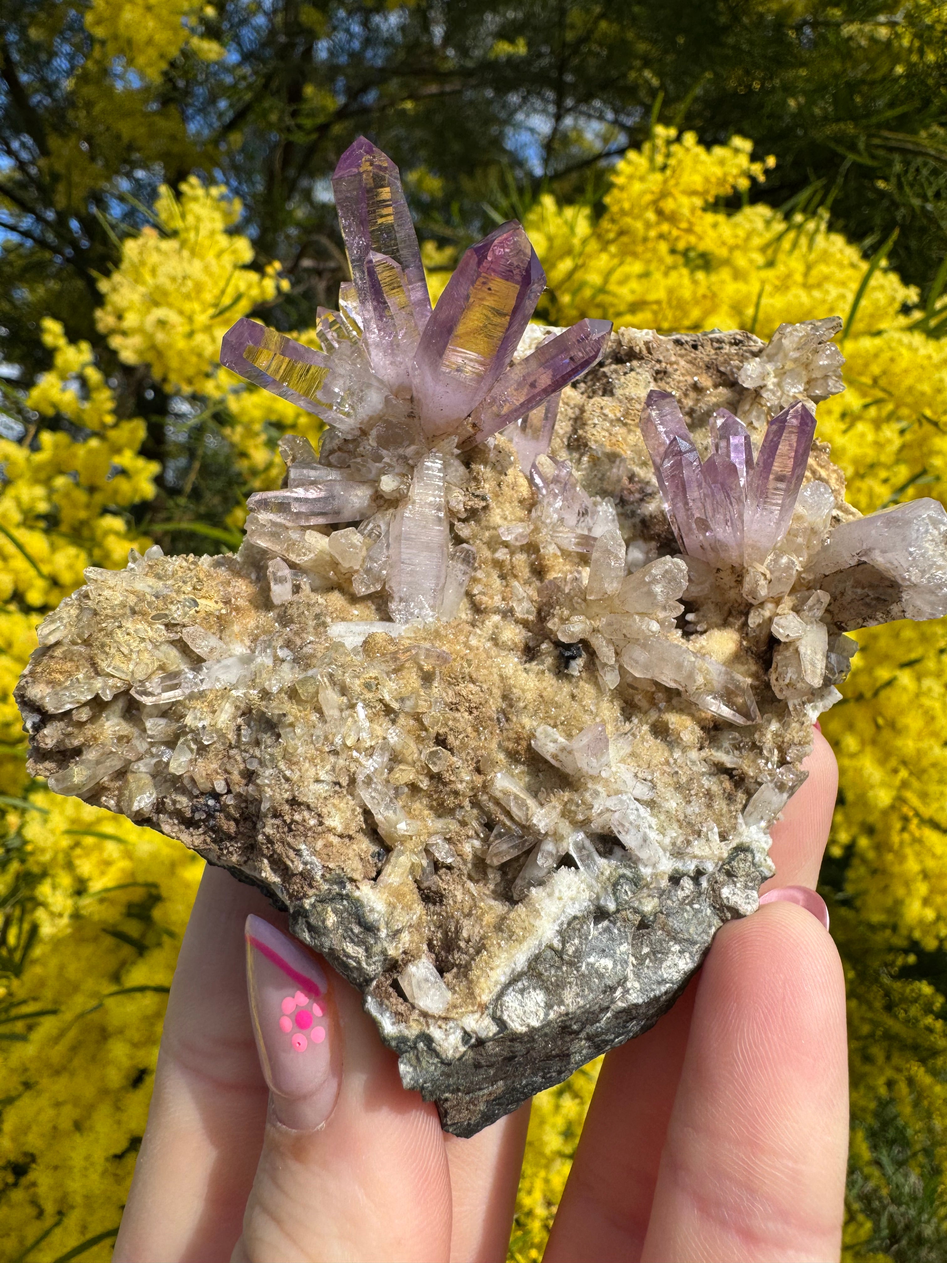 Vera Cruz Amethyst ‘Flower’ Specimen