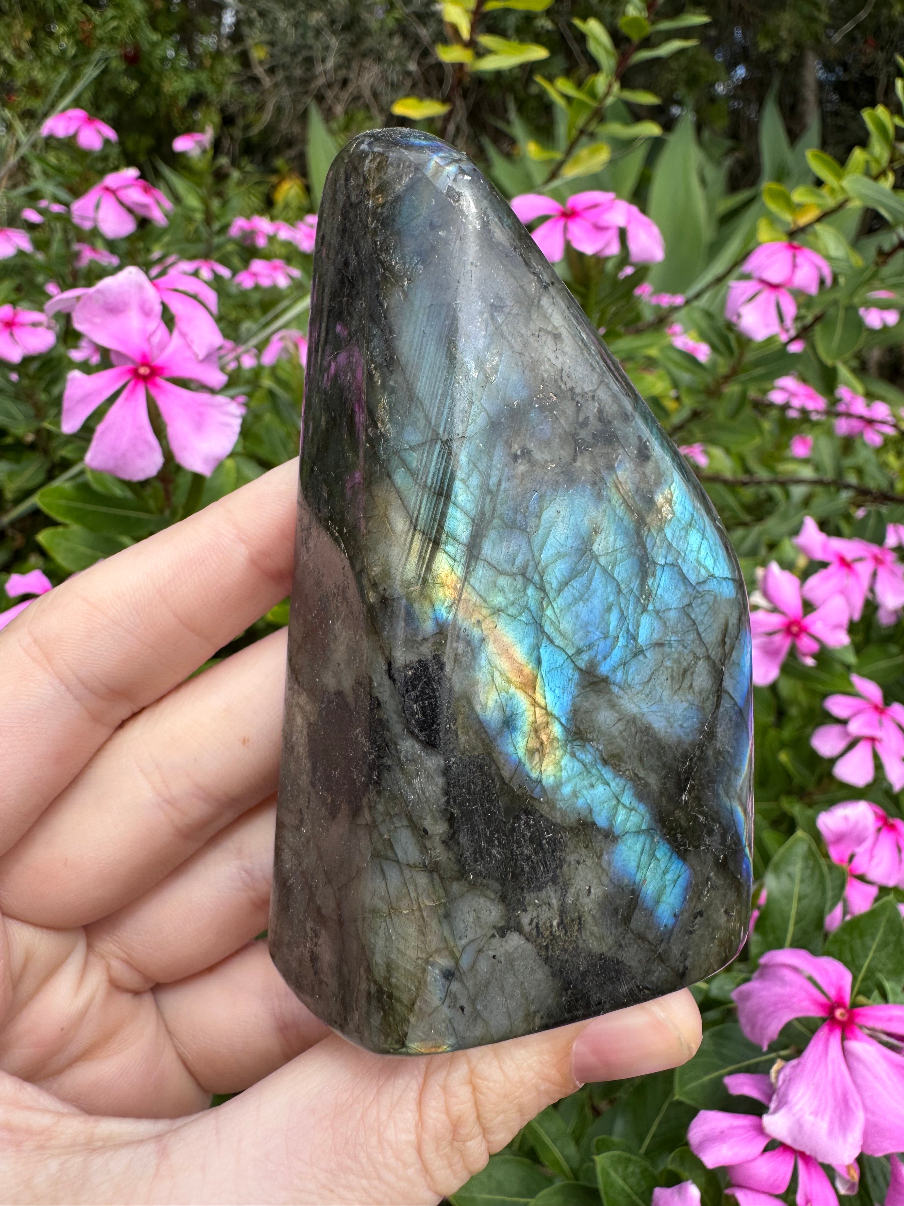 Labradorite Standing Freeform