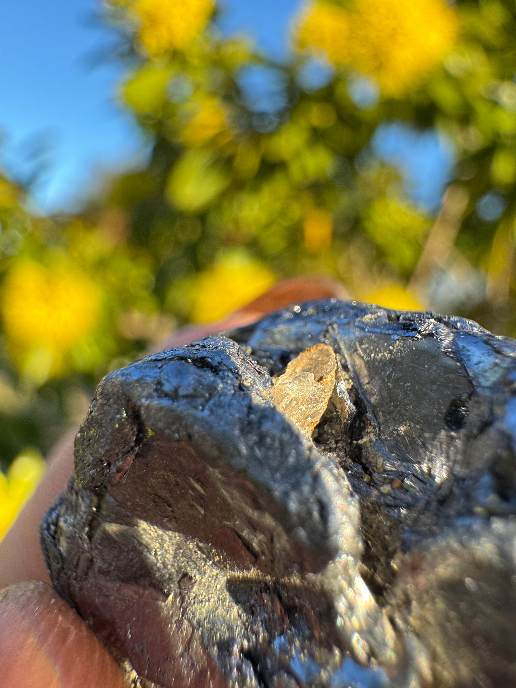 Molybdenite Specimen | Kingsgate