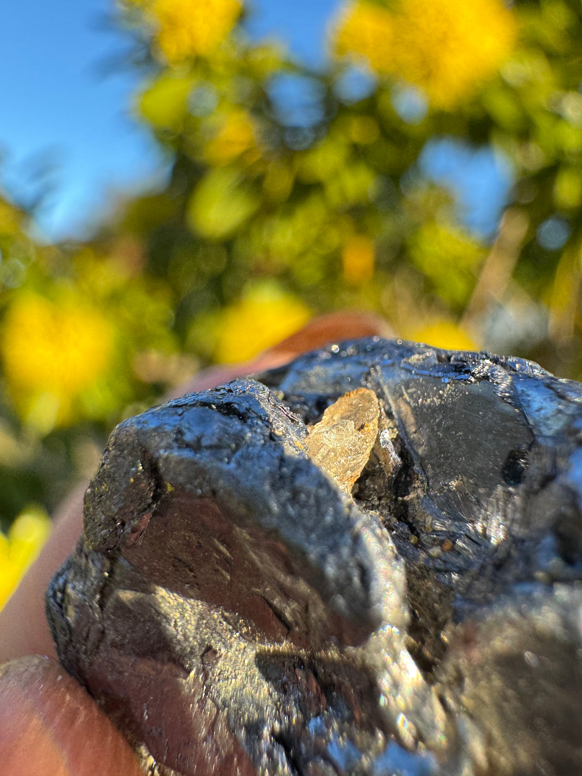 Molybdenite Specimen | Kingsgate
