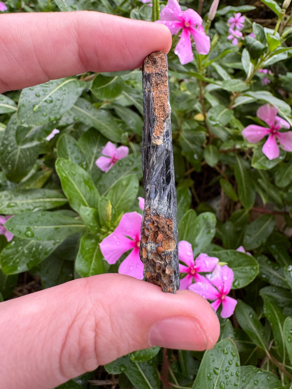 Vivianite Blade (12g)