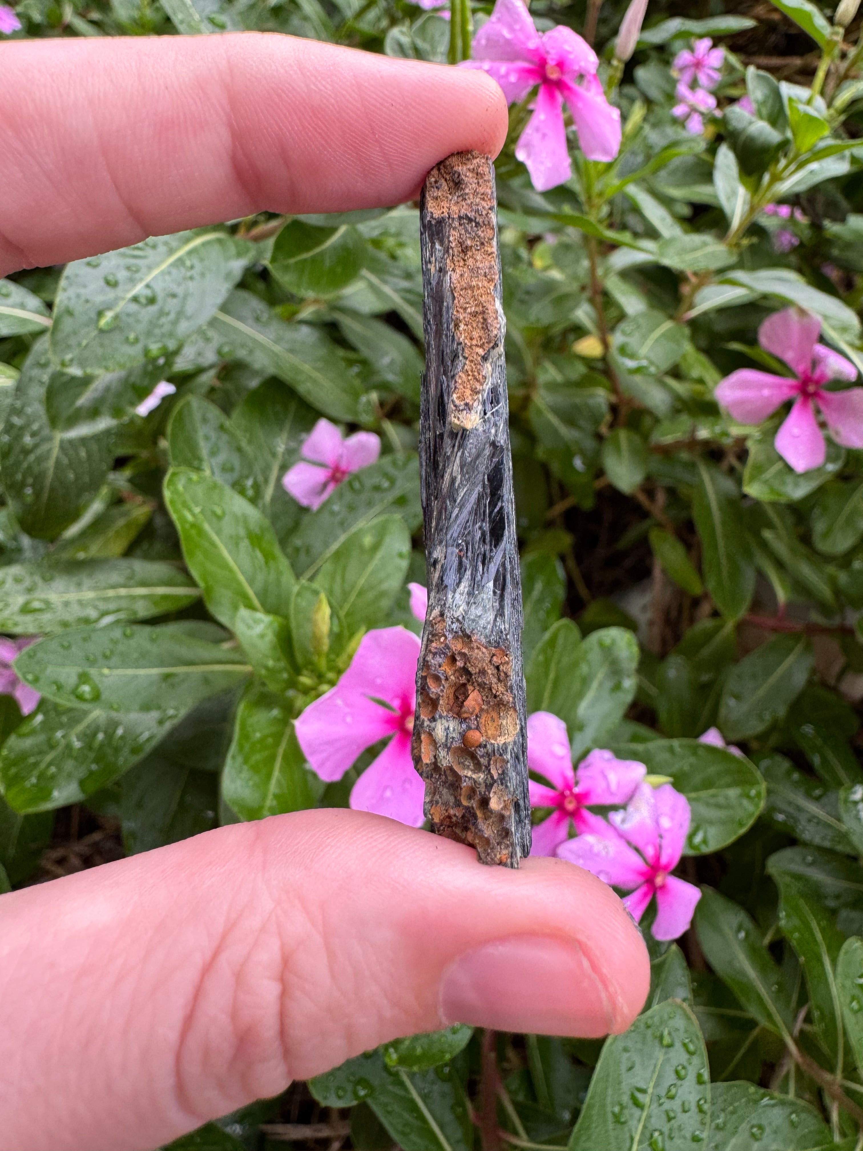 Vivianite Blade (12g)