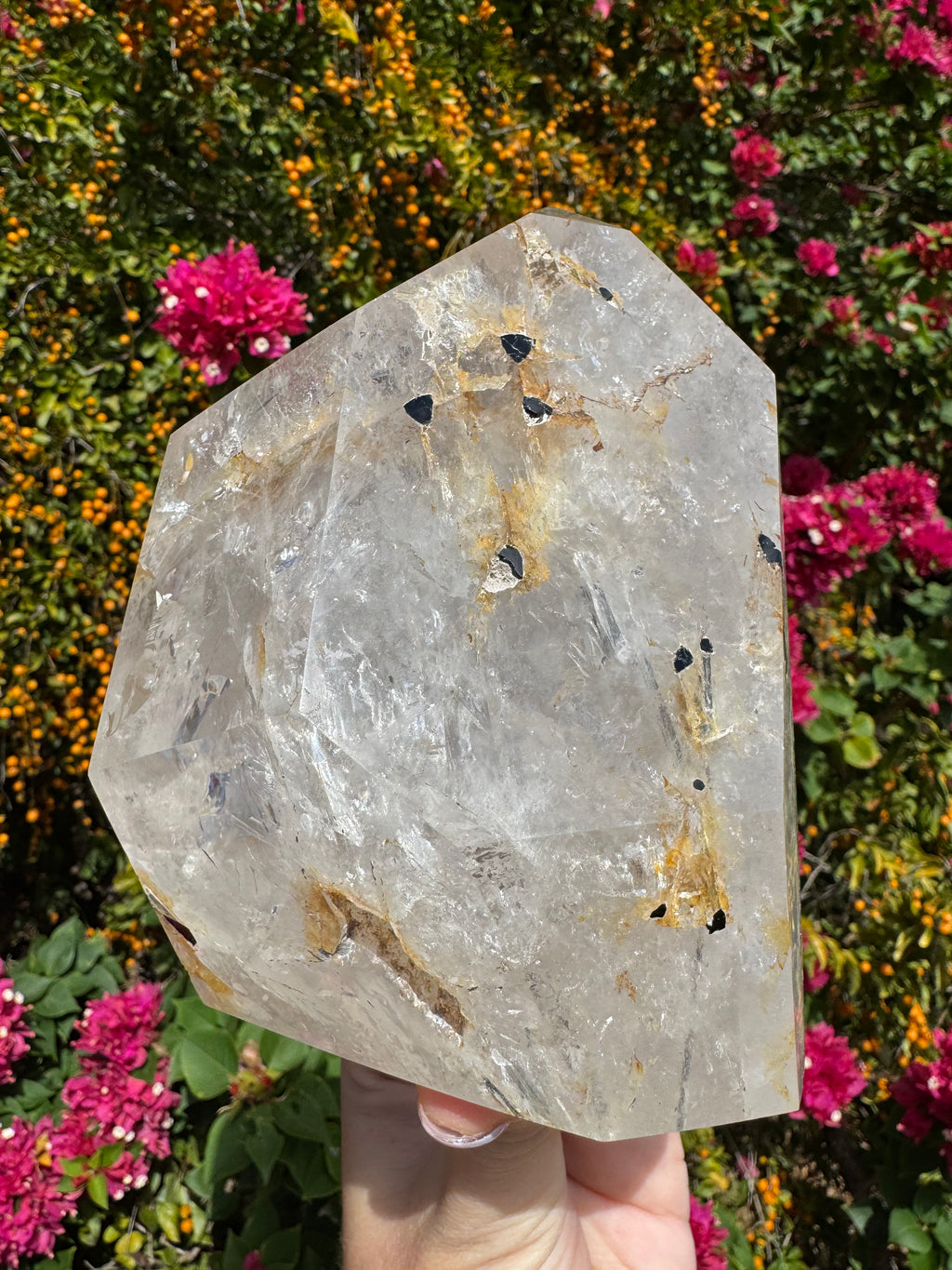 Inclusion Quartz Freeform - Black Tourmaline Rods