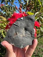 Amethyst Point in Basalt Matrix - Brandberg