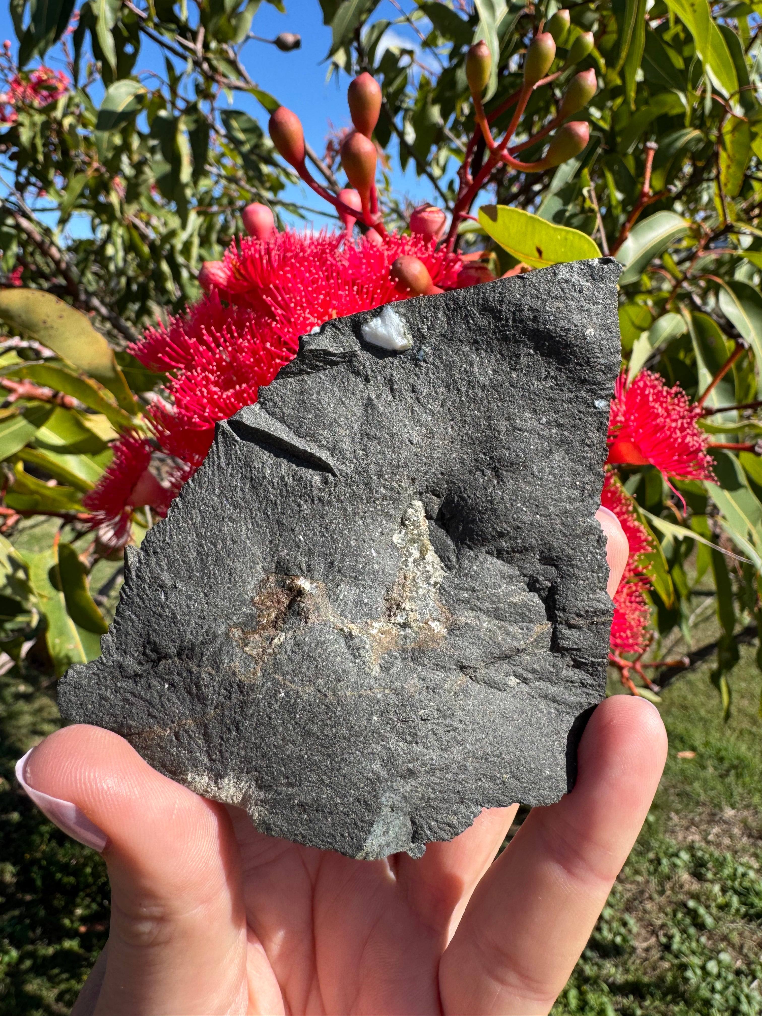 Amethyst Point in Basalt Matrix - Brandberg