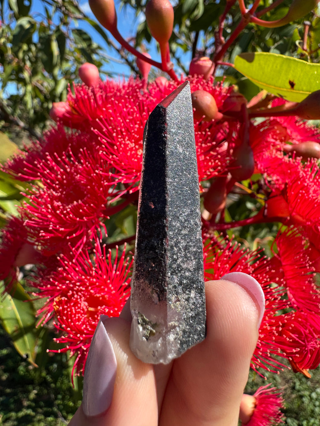 Hematite Coated Quartz Point