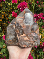 Inclusion Smoky Quartz ‘Castle’ Freeform