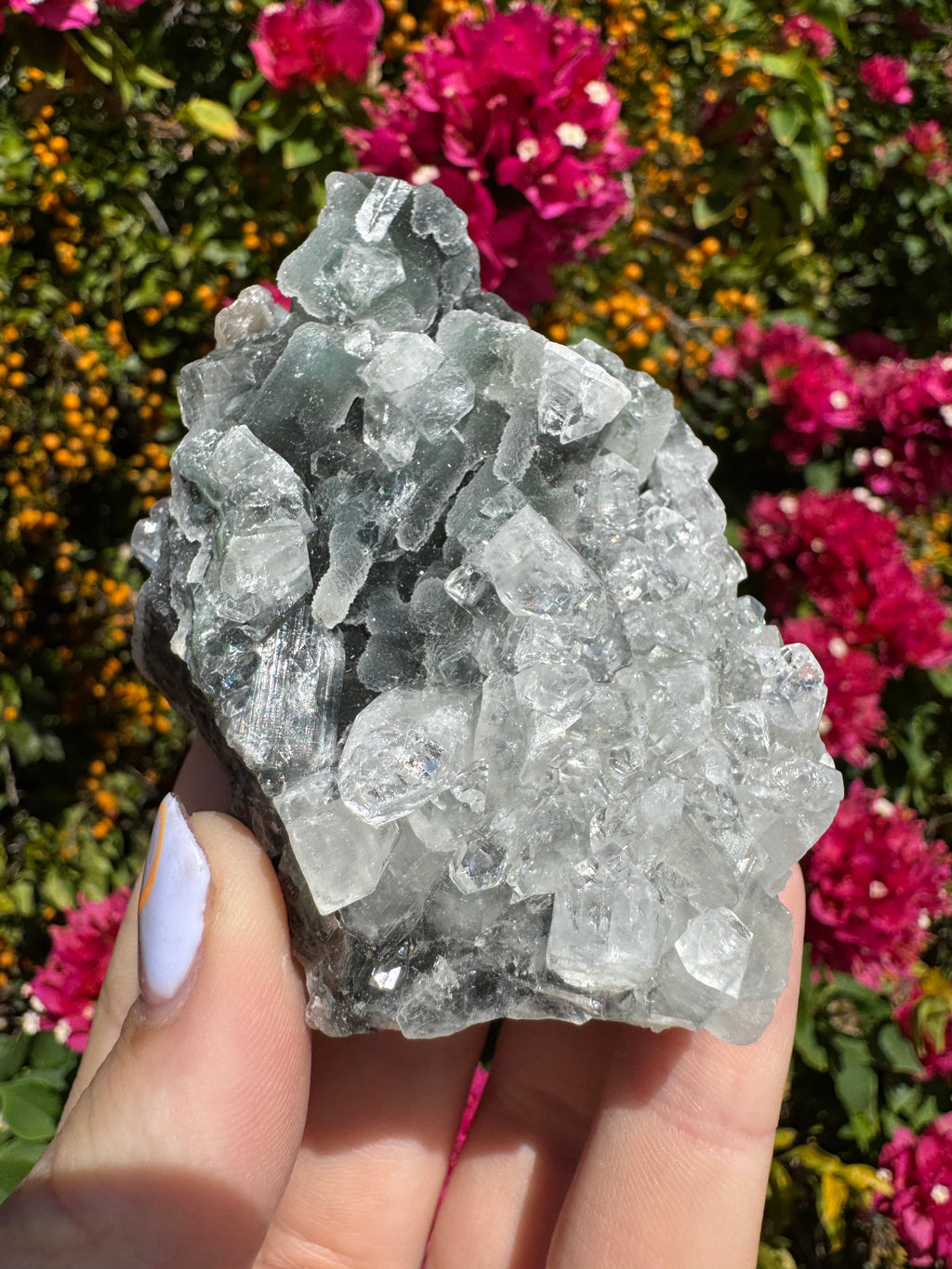 Black Chalcedony Stalactites with Apophyllite