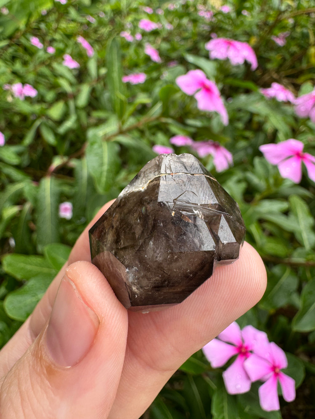 Mooralla Smoky Quartz Cluster