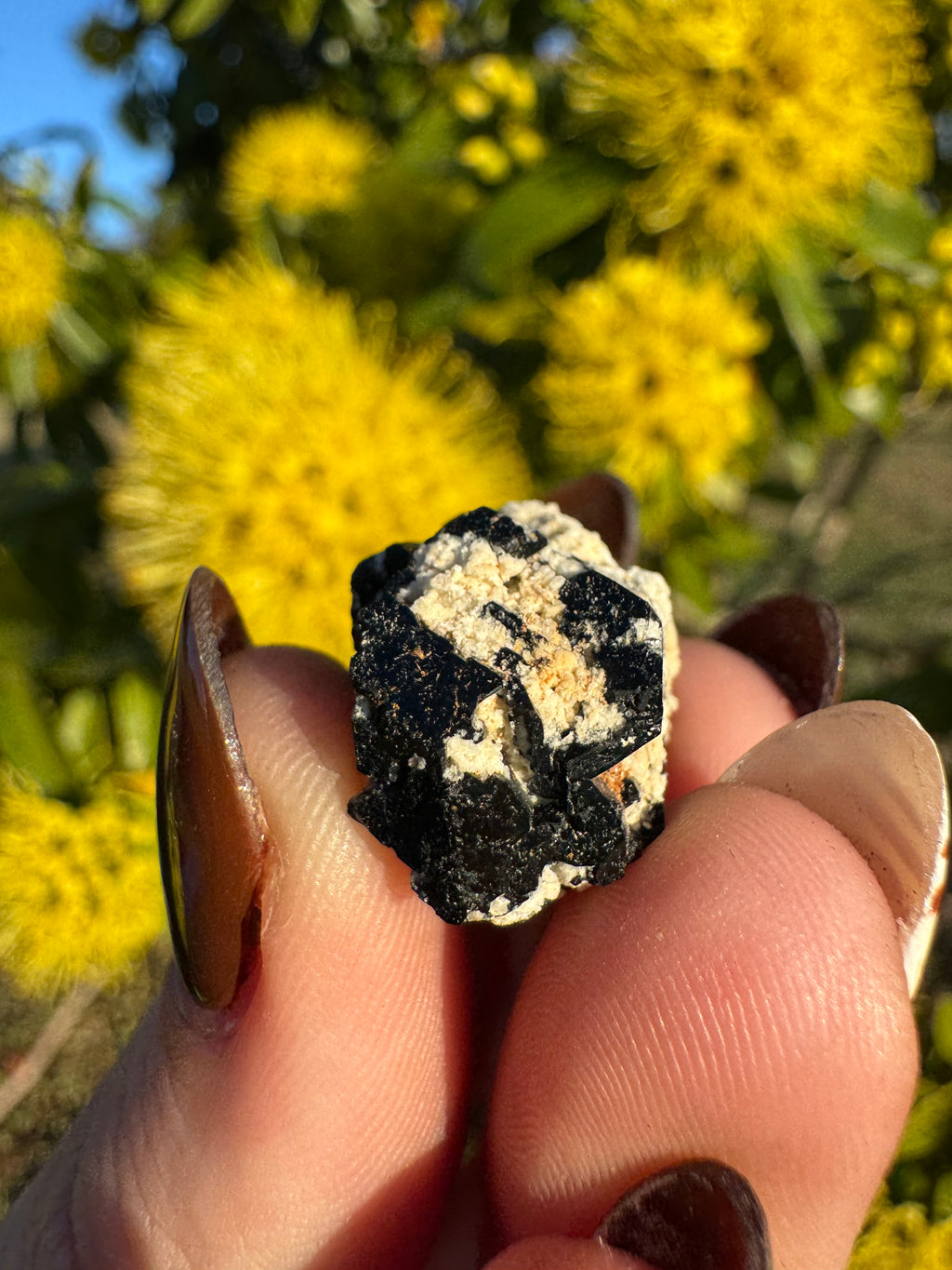 Black Tourmaline With Feldspar Specimen
