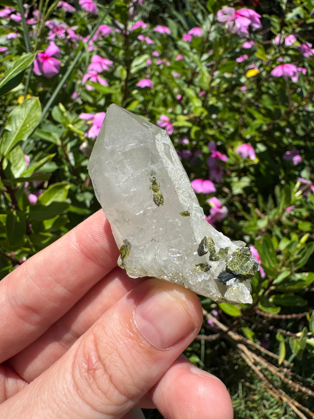 Sugar-Coated Epidote On Quartz Point