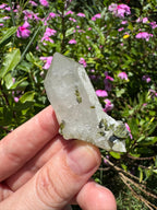 Sugar-Coated Epidote On Quartz Point