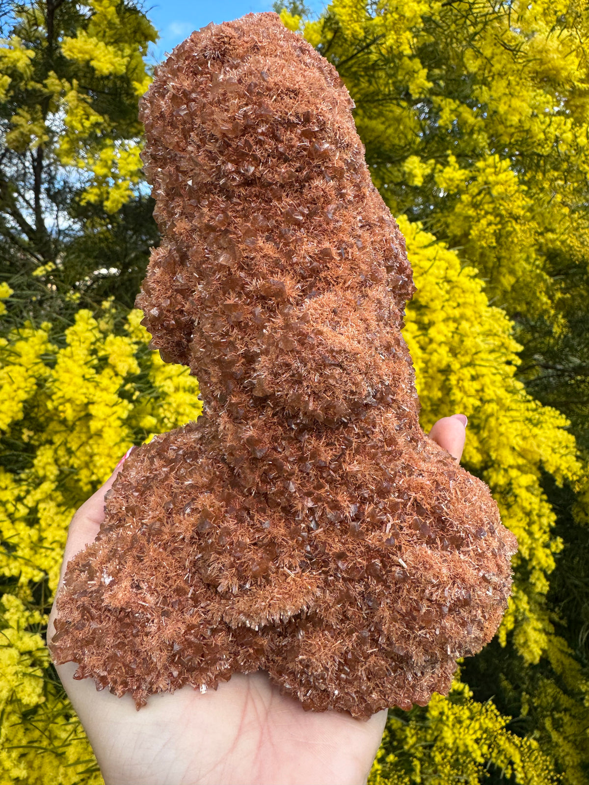 Red Selenite ‘Gypsum’ Specimen - Port Hedland