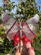 Purple Fluorite Butterfly Wings