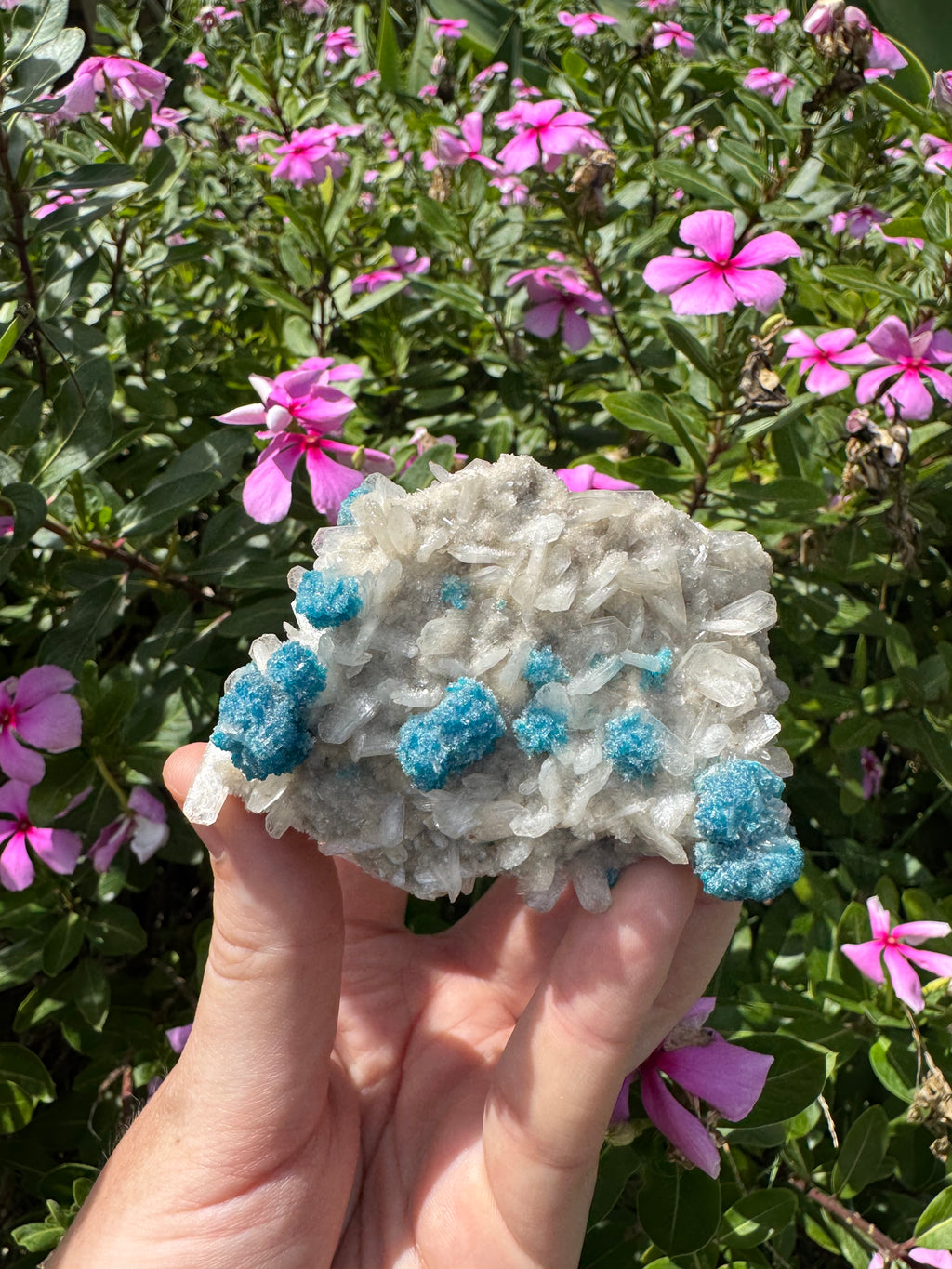 Cavansite On Zeolite Mineral Specimen