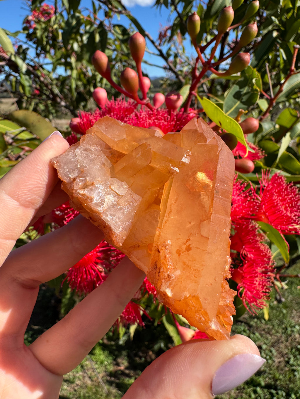 Tangerine Quartz Cluster