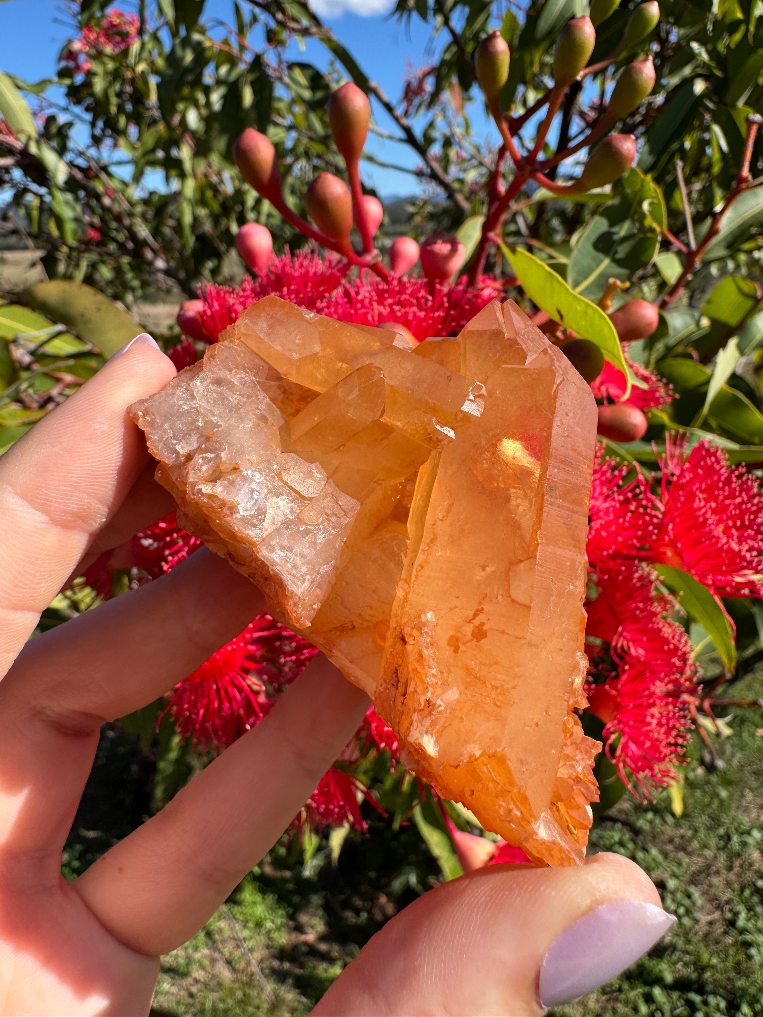 Tangerine Quartz Cluster