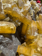 Golden Barite With Botryoidal Chocolate Calcite Specimen | 1.6kg