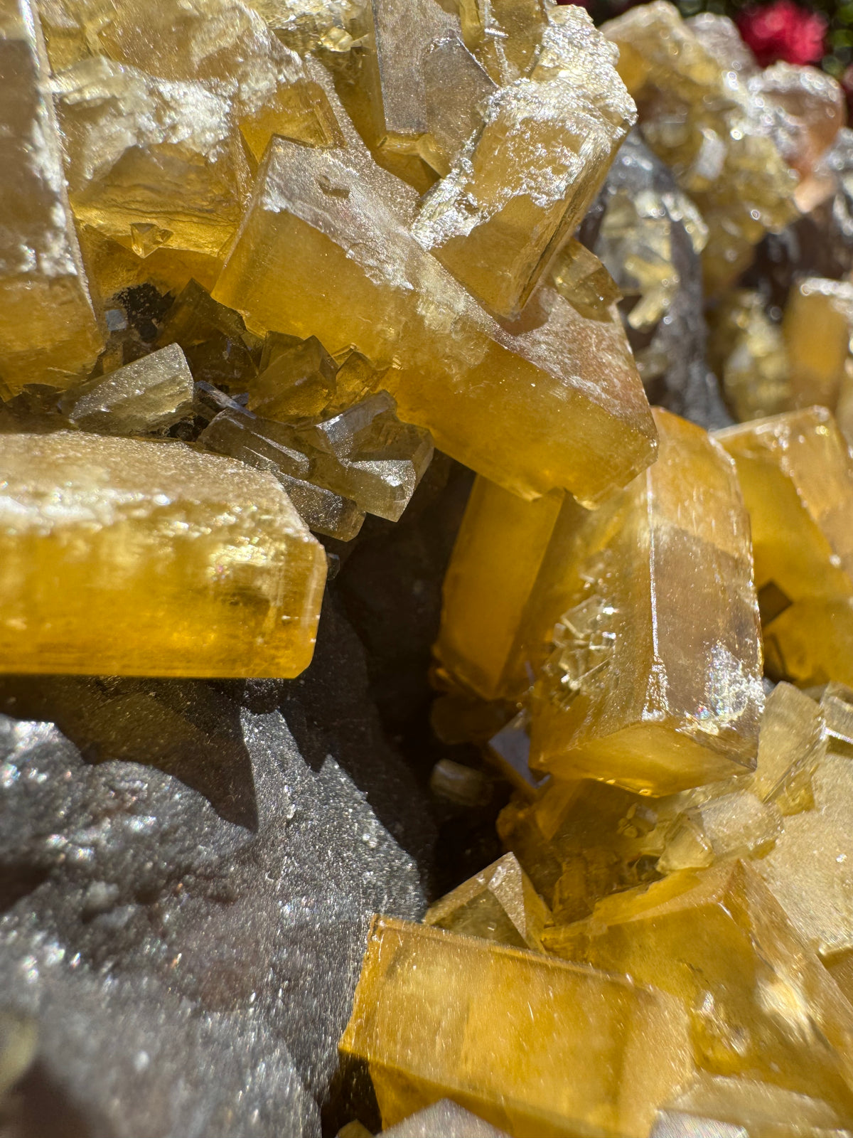 Golden Barite With Botryoidal Chocolate Calcite Specimen | 1.6kg