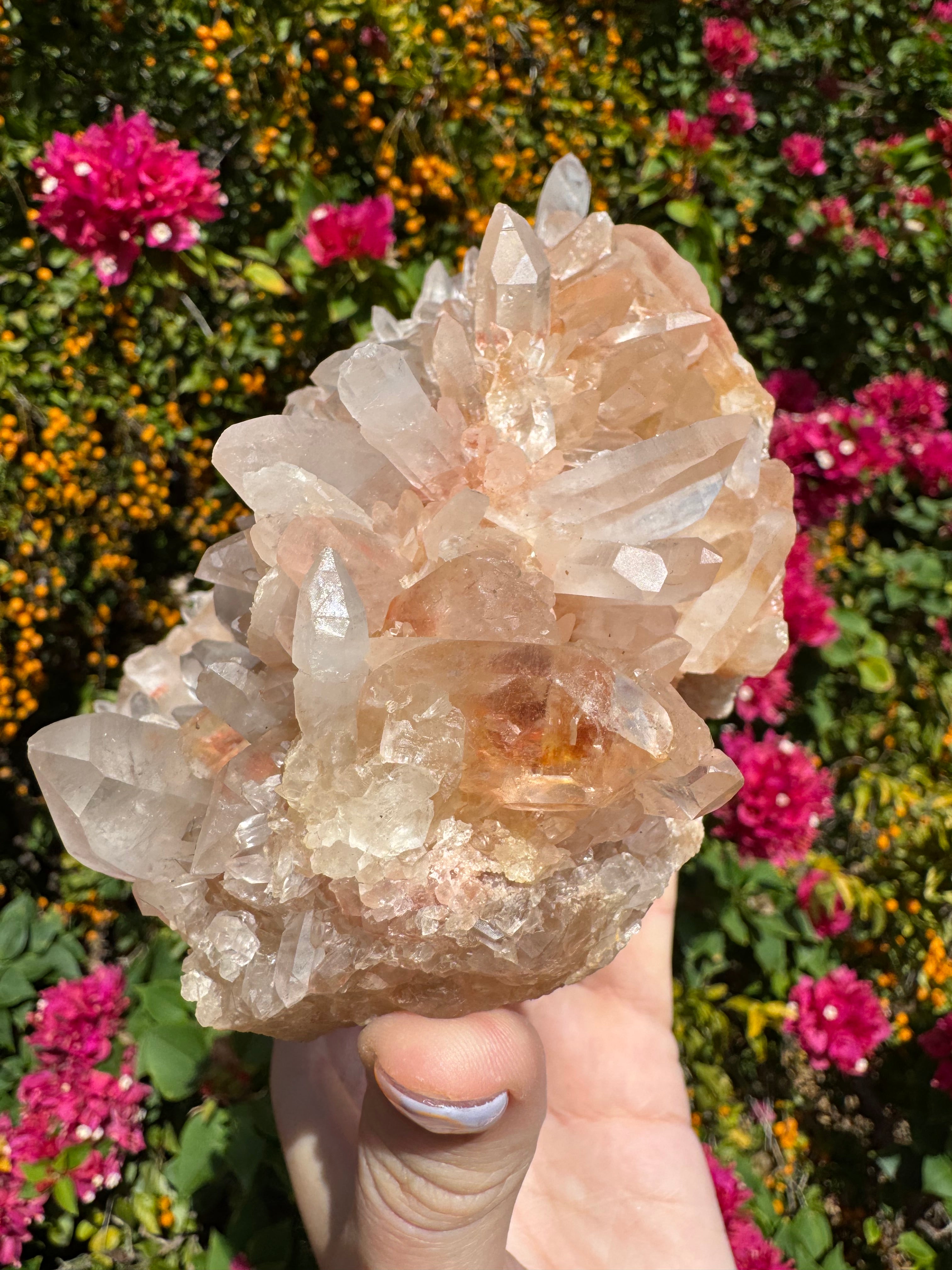 Pink Himalayan Samadhi Quartz Cluster