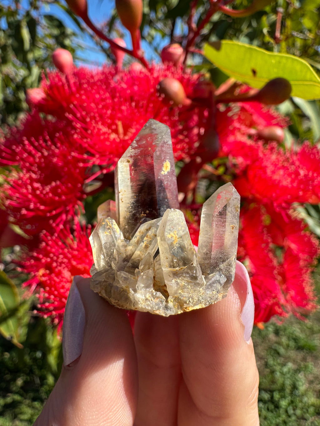 Hematite Phantom Quartz Cluster - Torrington