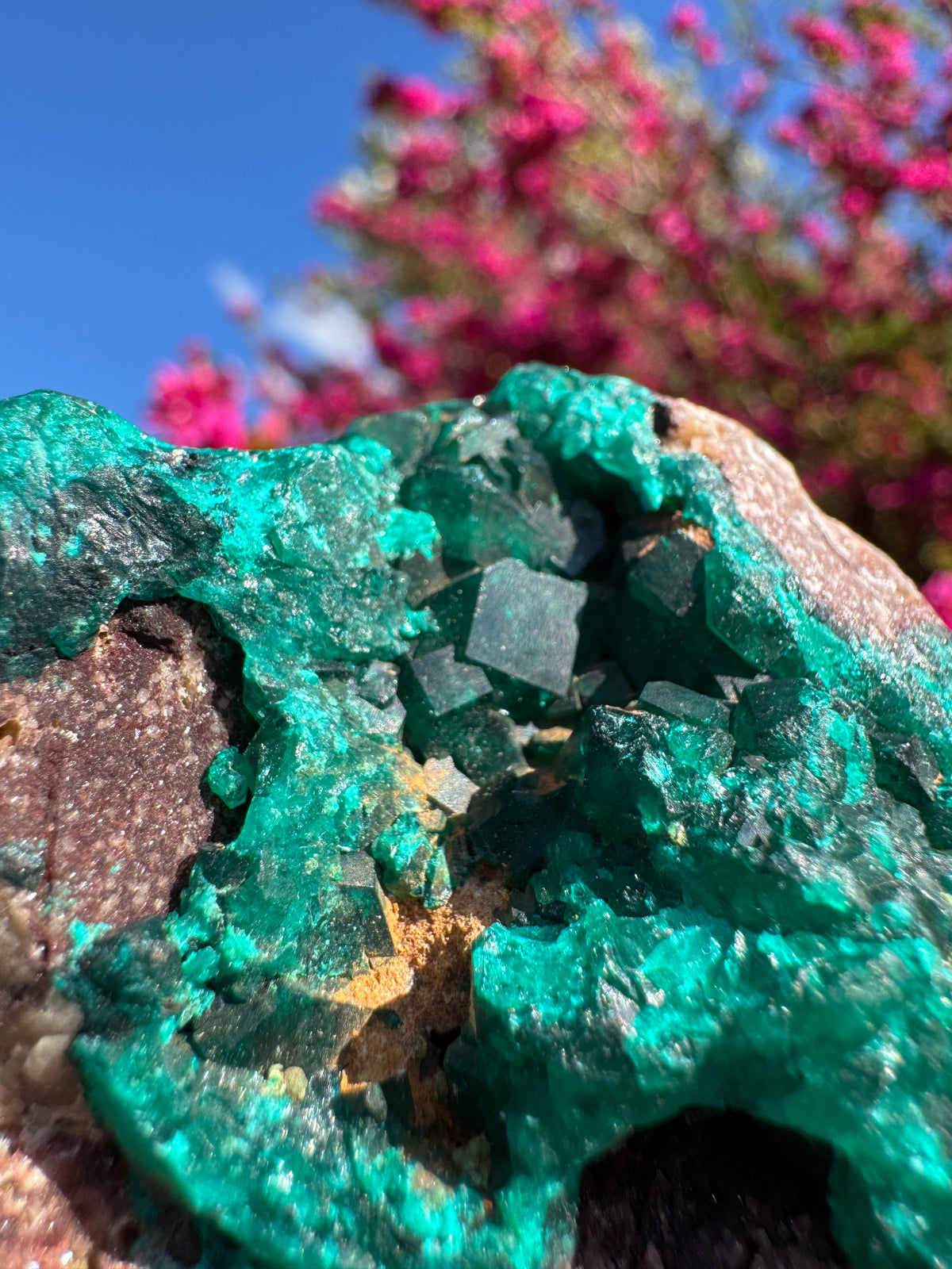 Tsumeb Cubic Dioptase With Quartz Dusting Specimen | High Quality