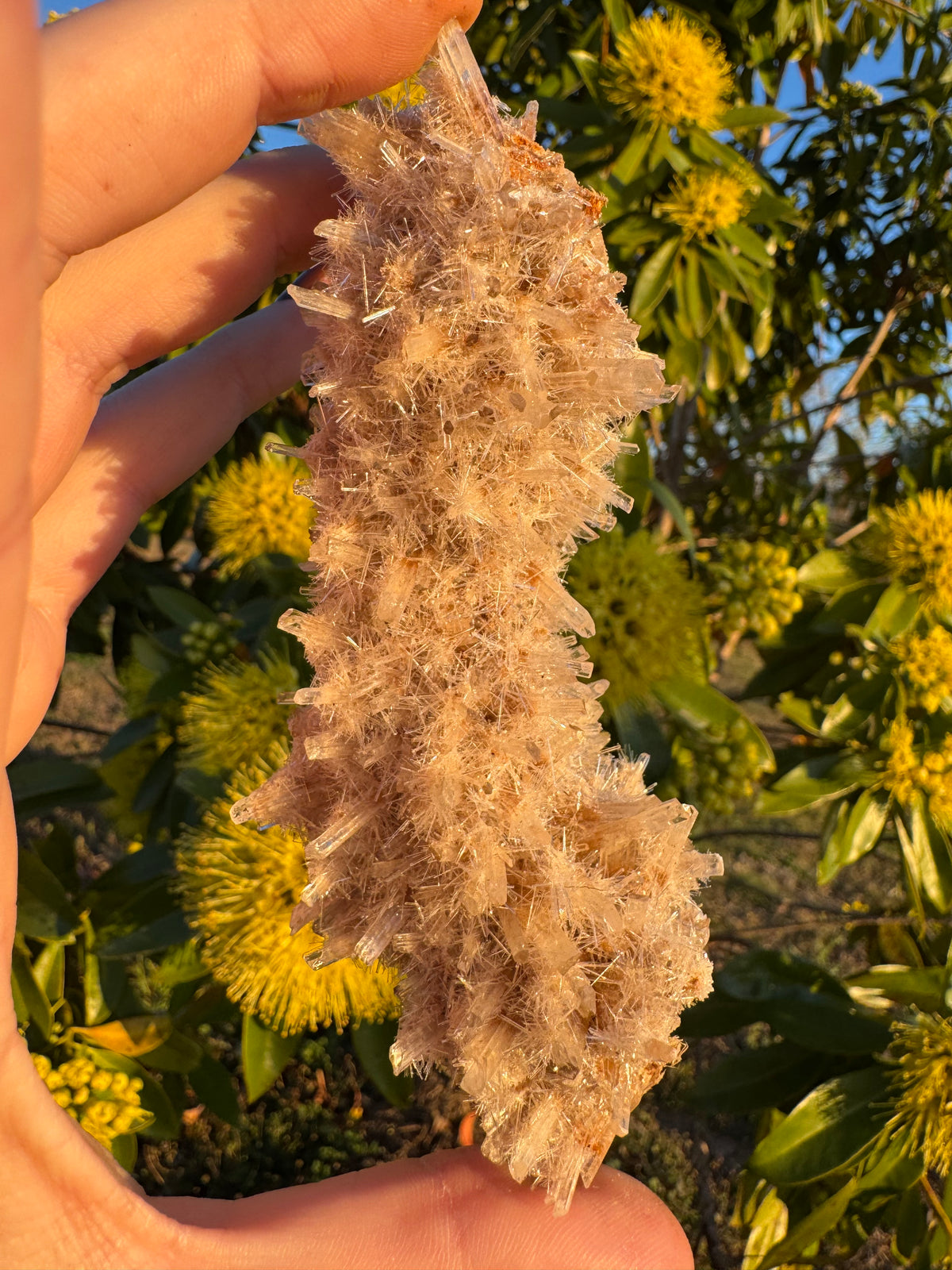 Selenite ‘Gypsum’ Natural Specimen - Chillingollah