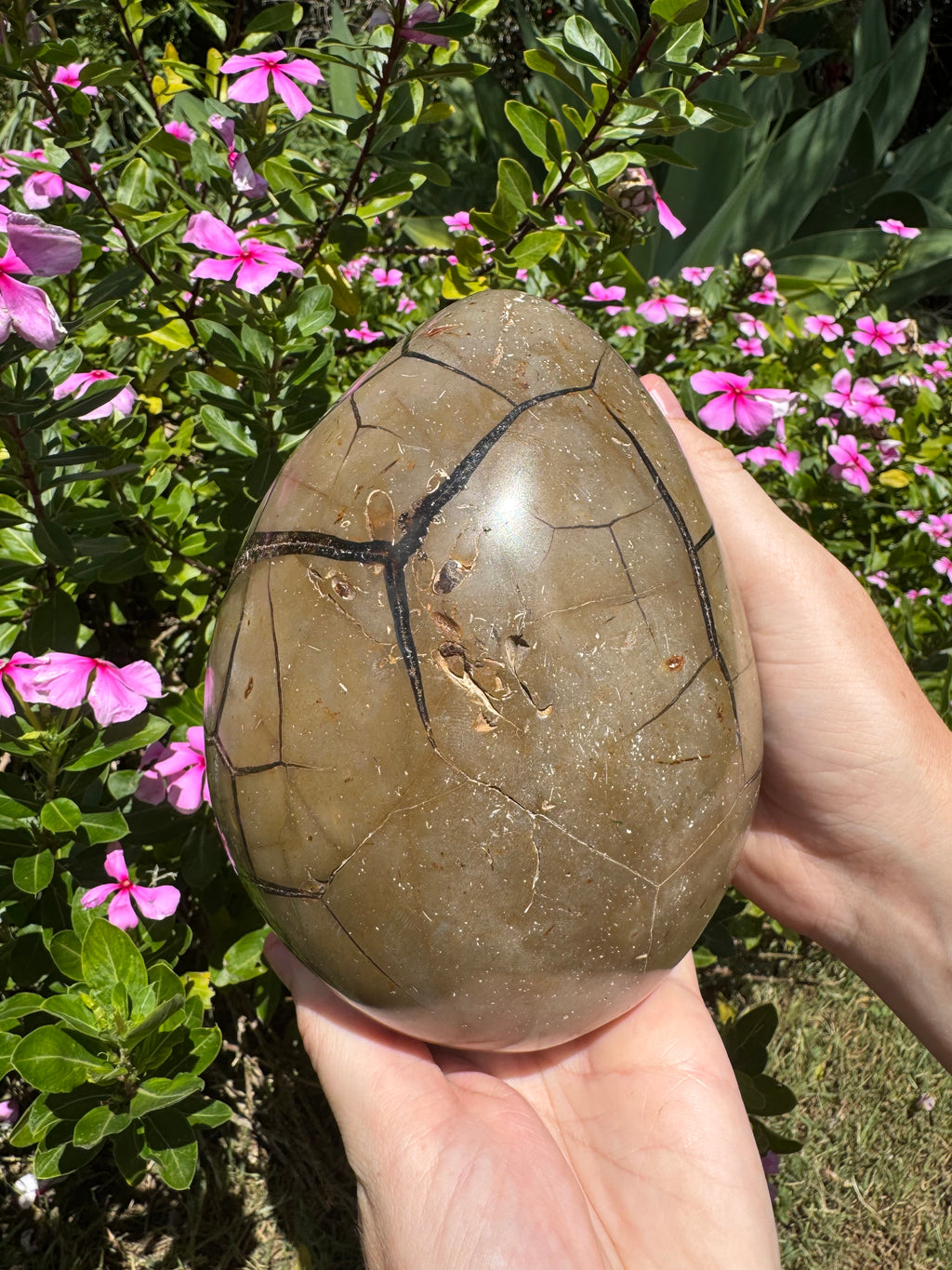 Septarian Druzy Egg with Calcite Inclusions - 2.446kg