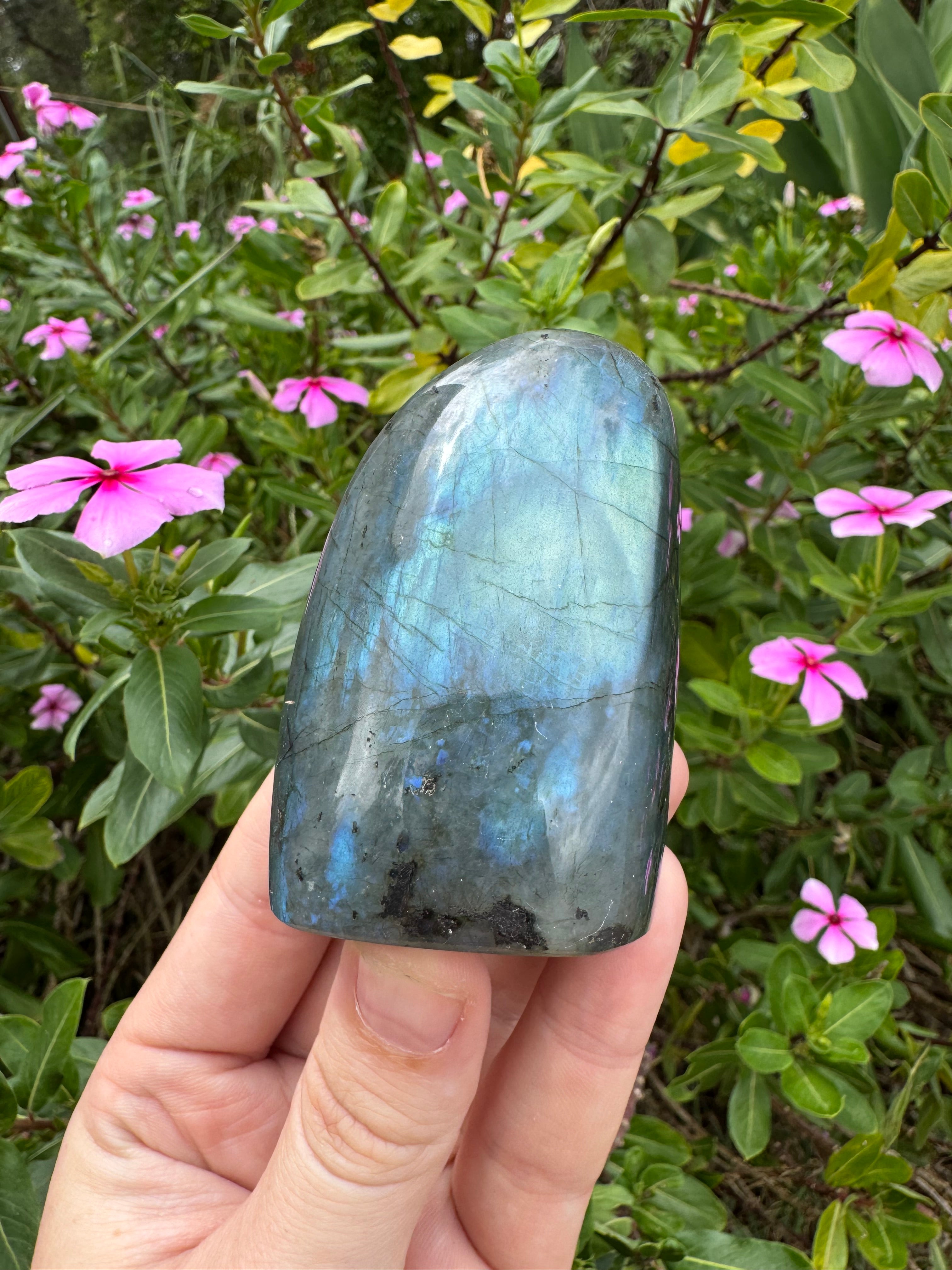 Labradorite Standing Freeform