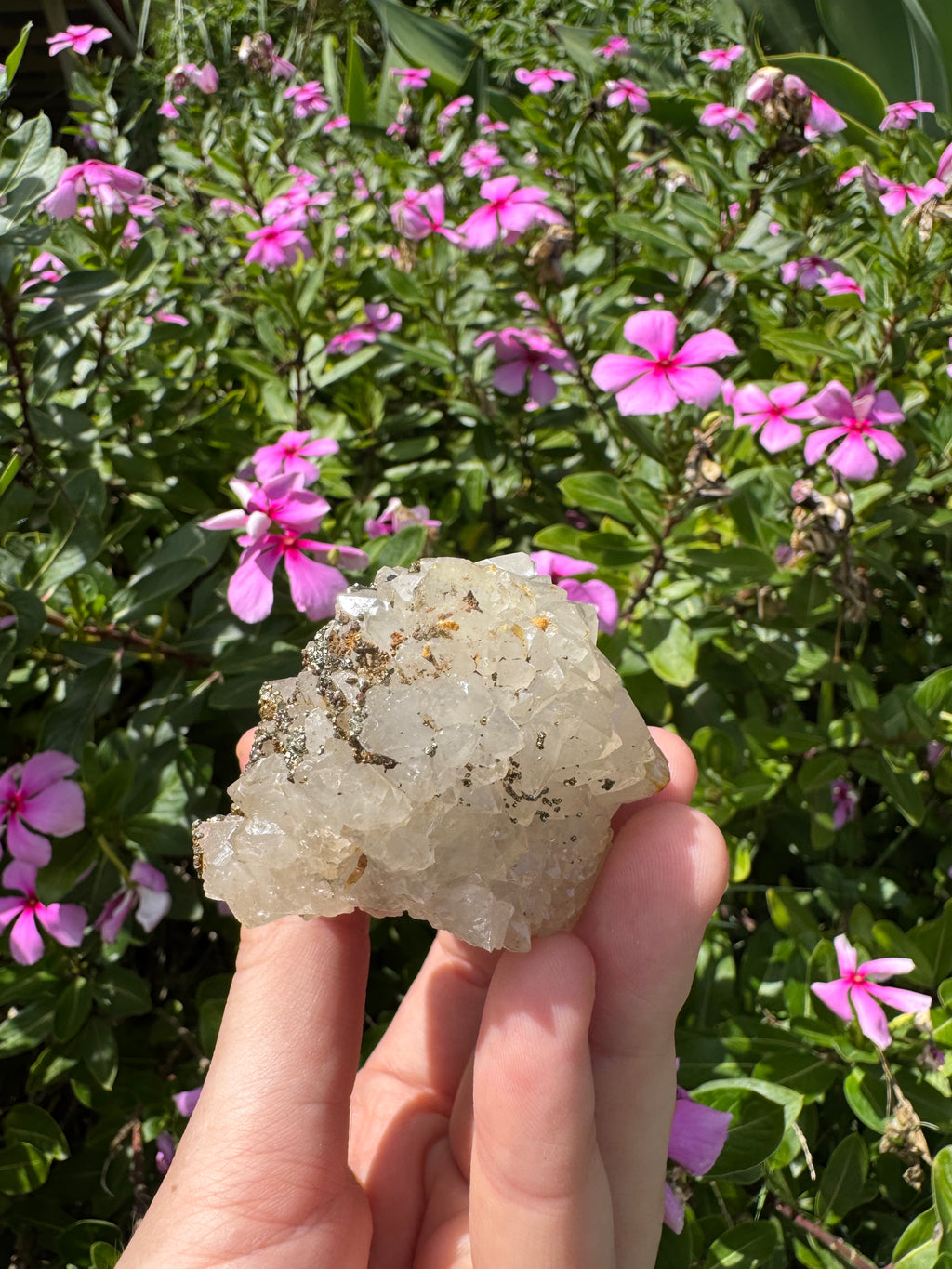 Pyrite on Quartz Specimen - High Quality