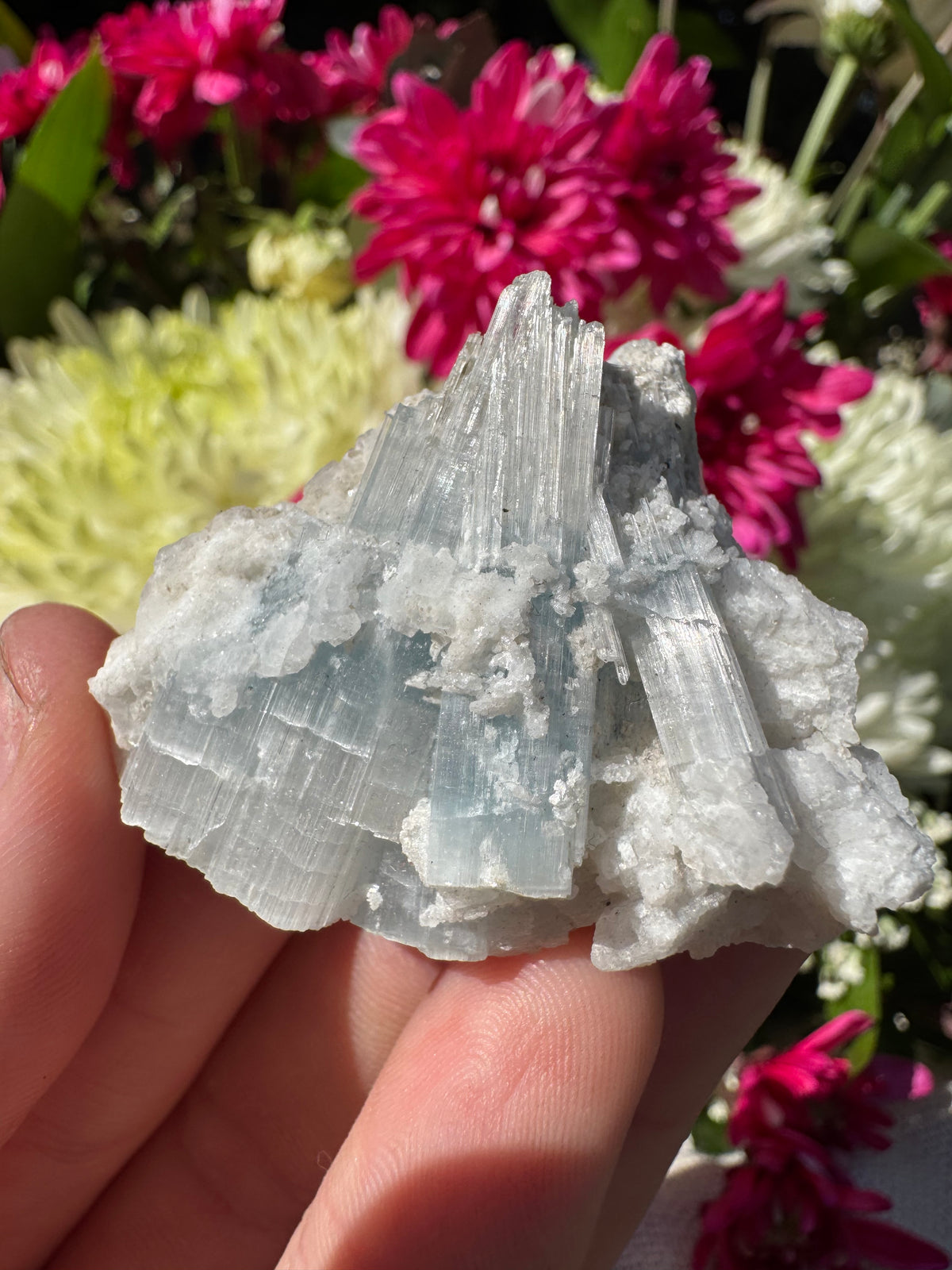 Cats Eye Aquamarine Specimen
