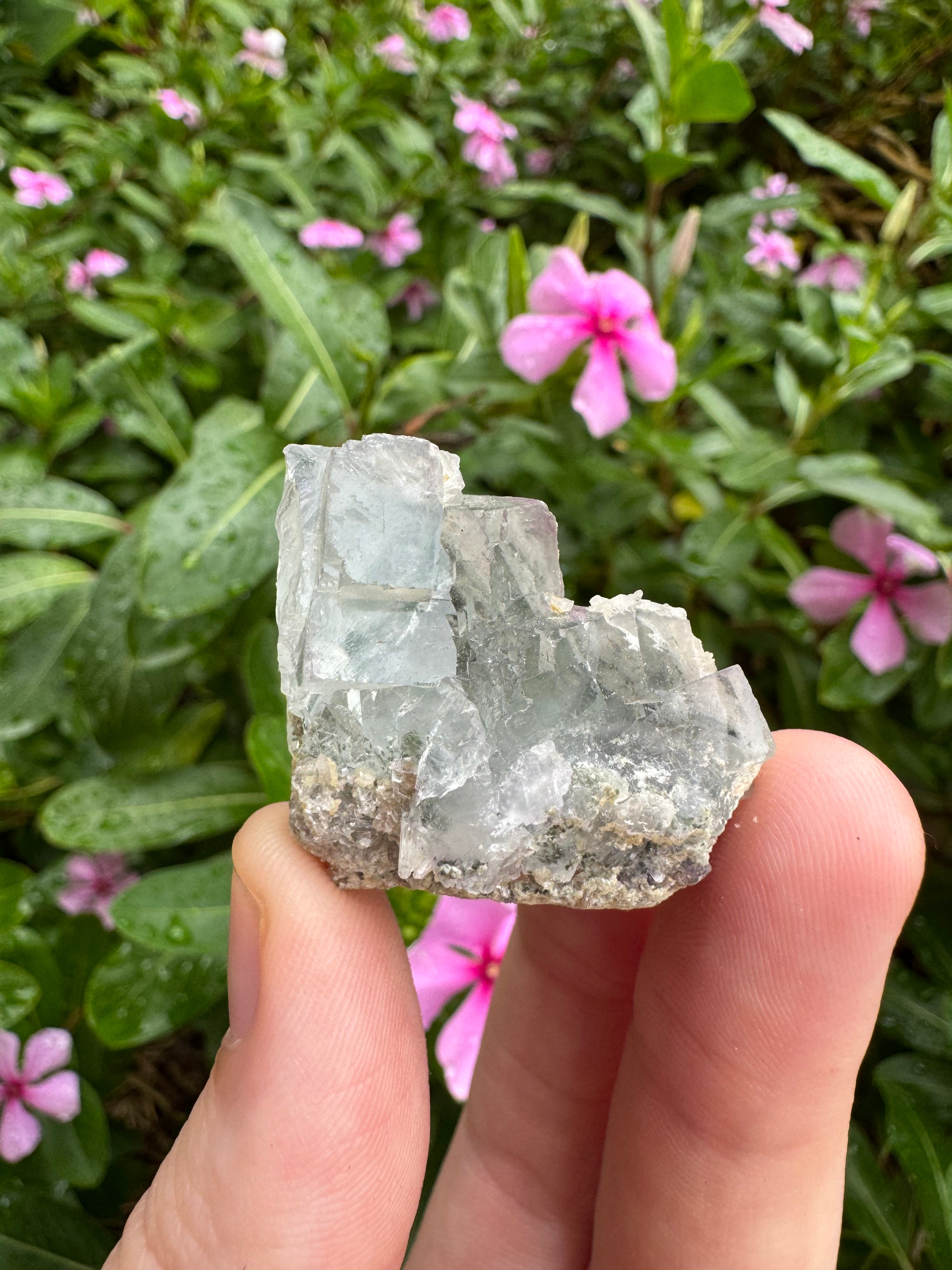 Blue Cubic Fluorite Cluster