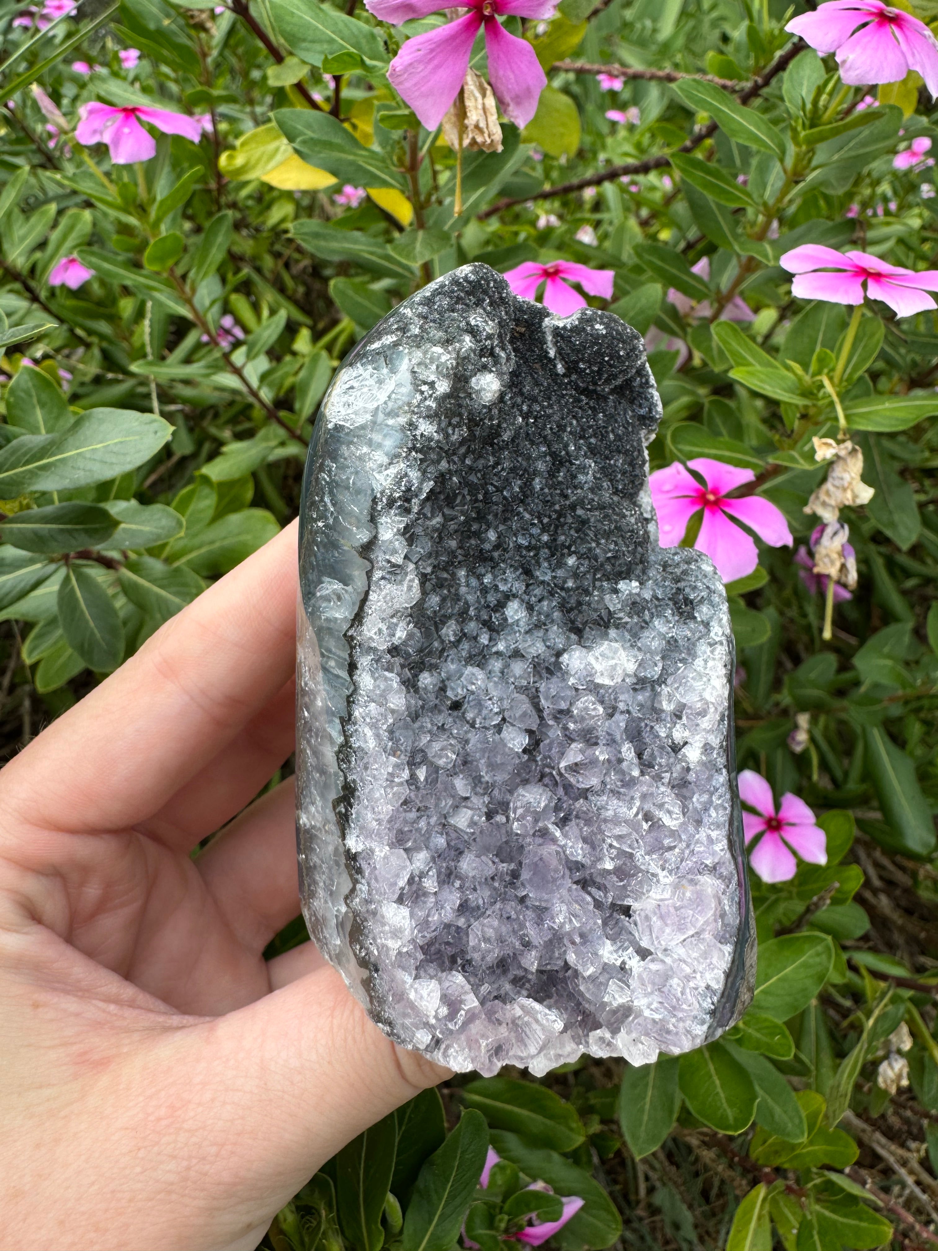 Purple/Black Amethyst Cutbase Cluster